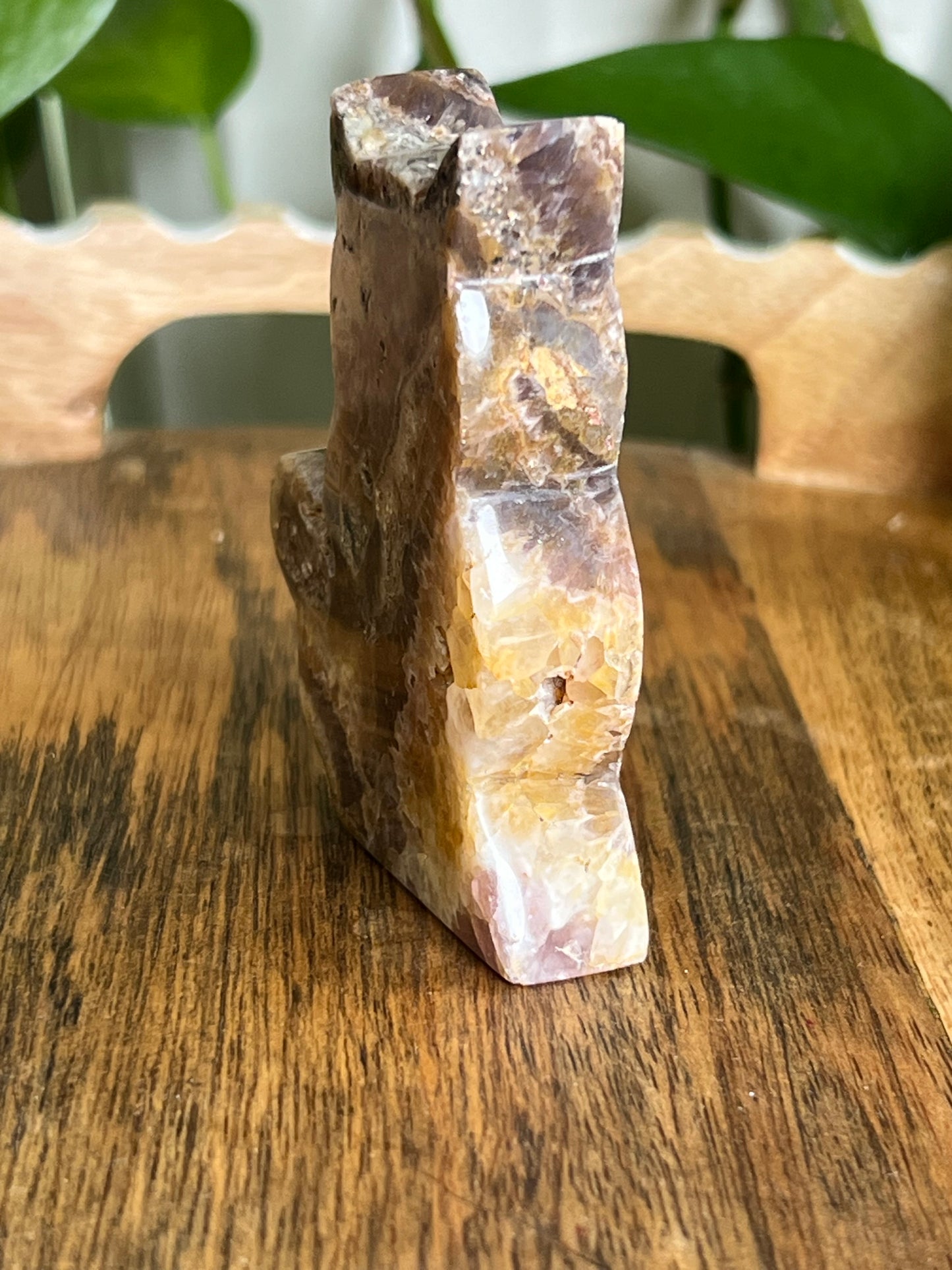 Indonesian Amethyst Cat CK
