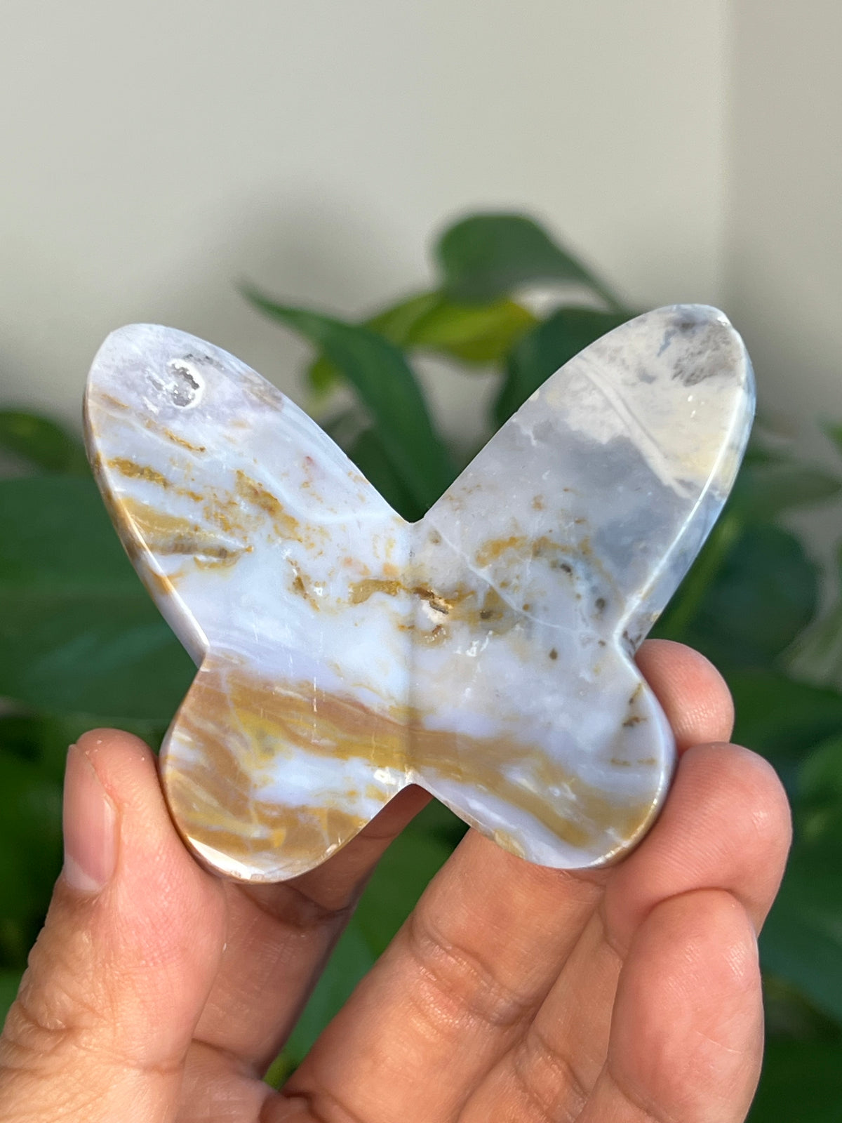 Milky River Jasper 3D Butterflies