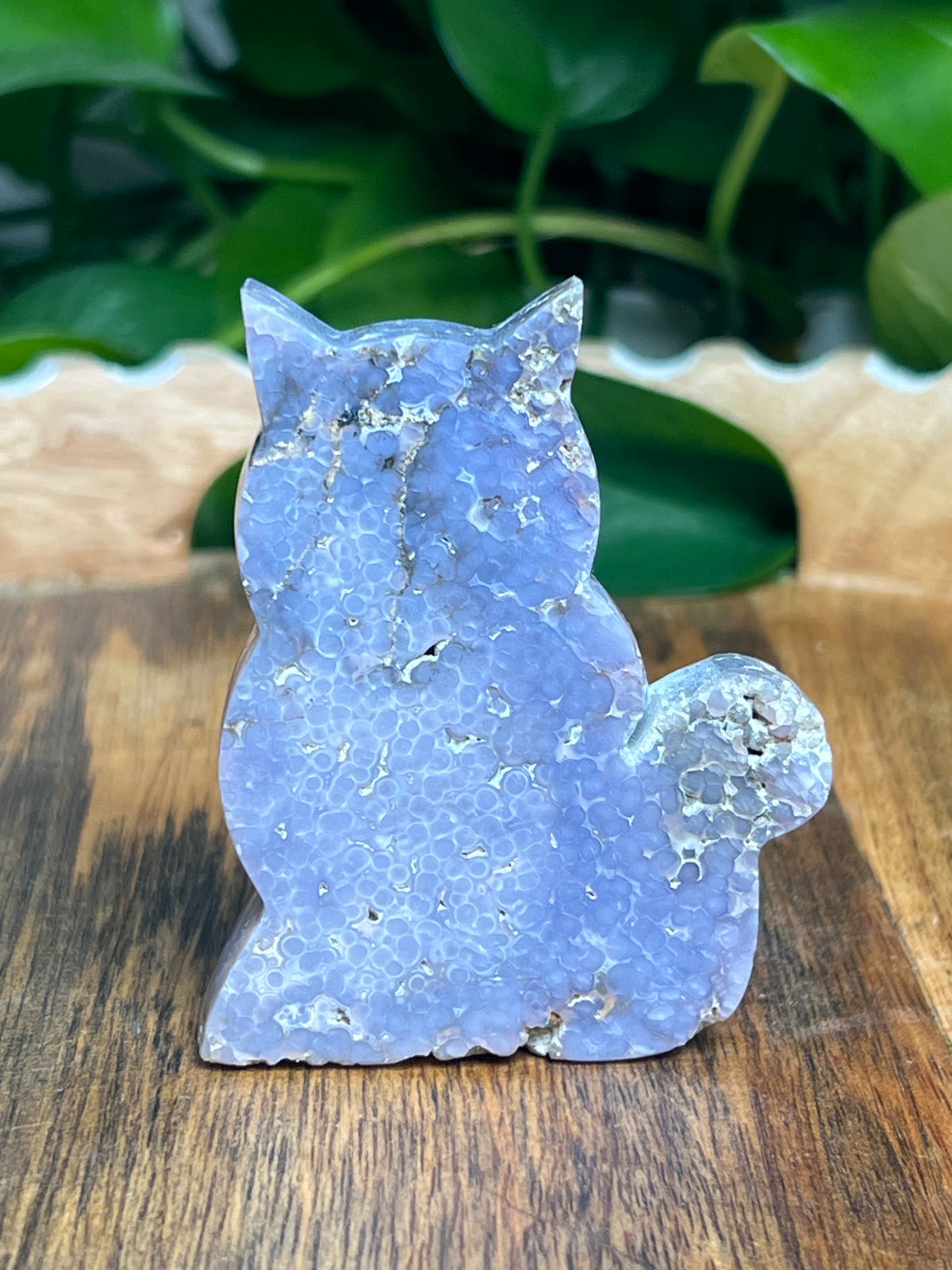 Grape Agate Cat: Ni