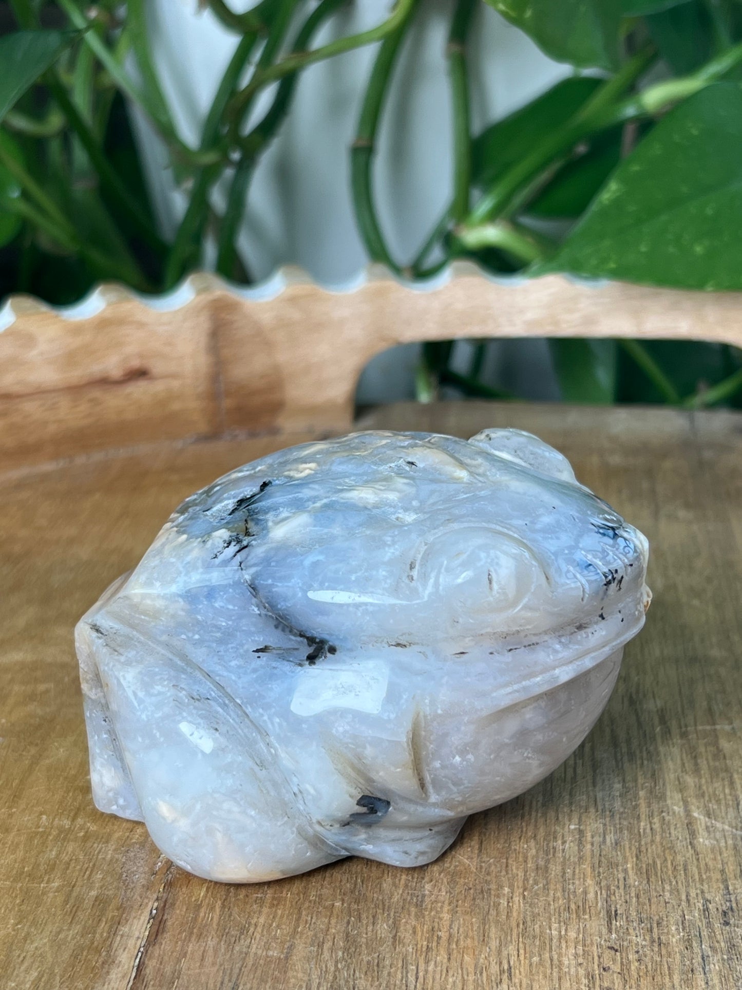 Dendritic Tiger Agate Frog