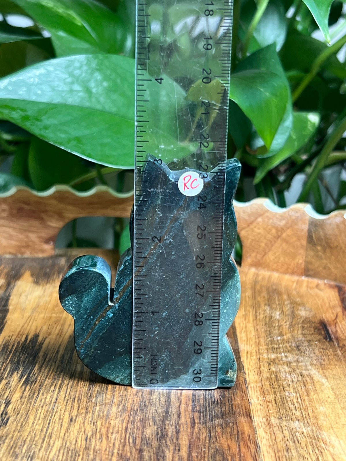 Blue Green Jasper Cats