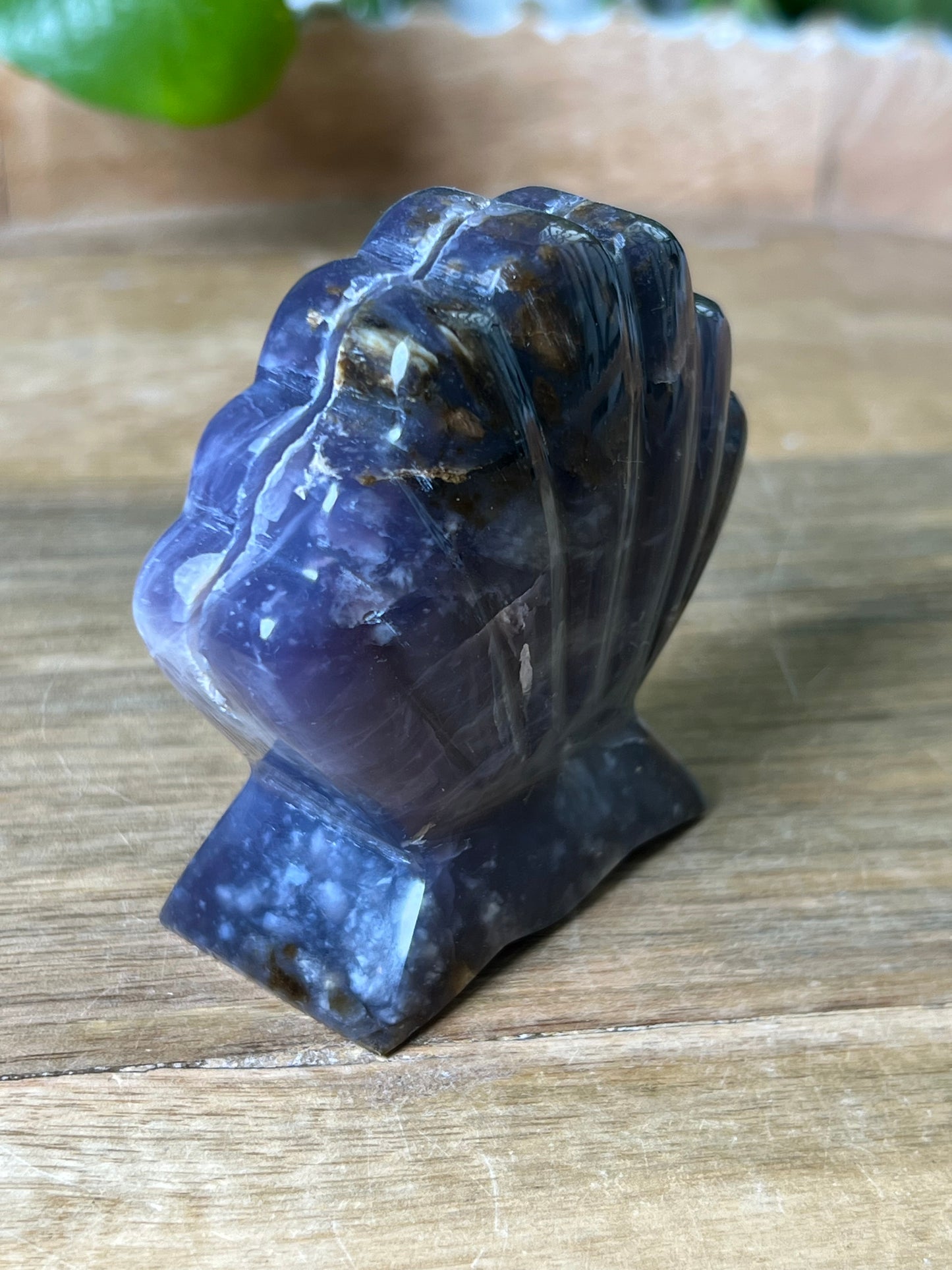 Purple Chalcedony Shell