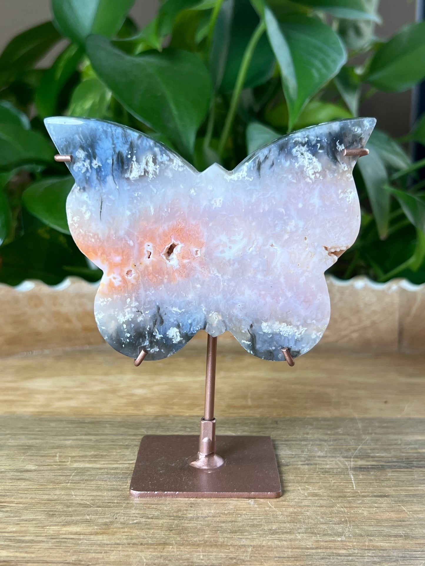 Rainbow Plume Agate Butterfly