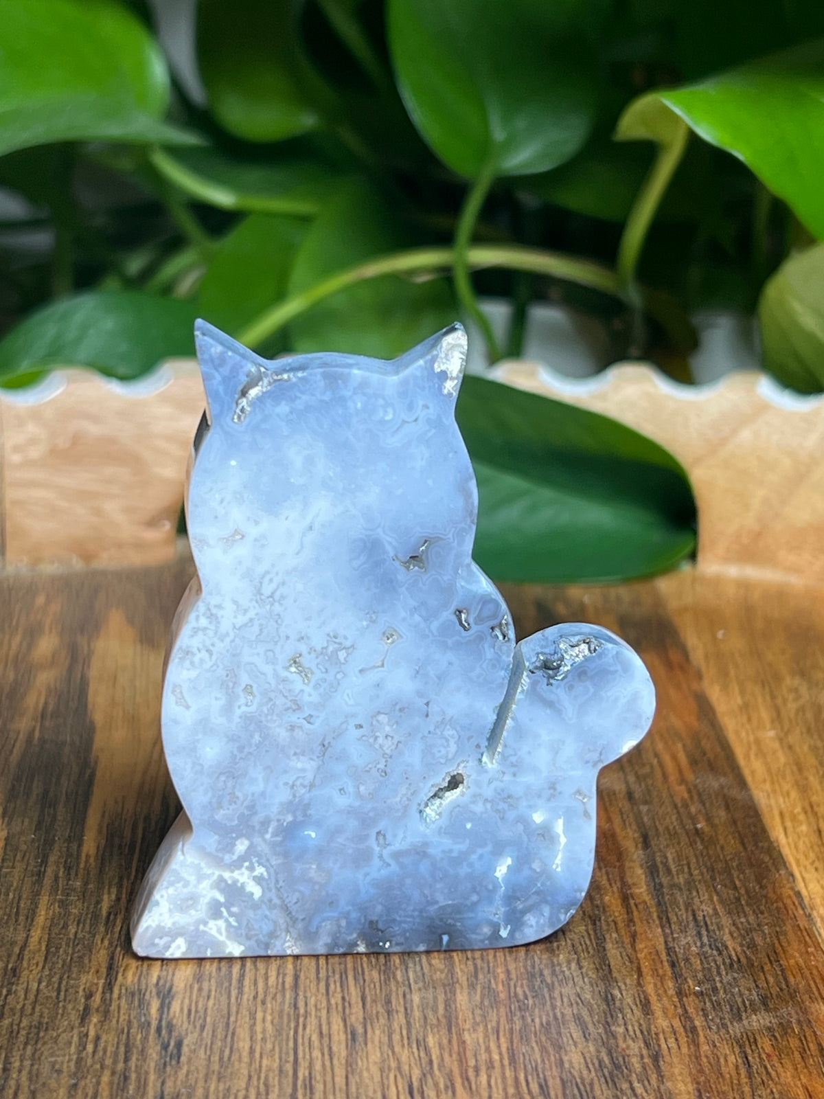 Blue Plume Agate Cat: BF