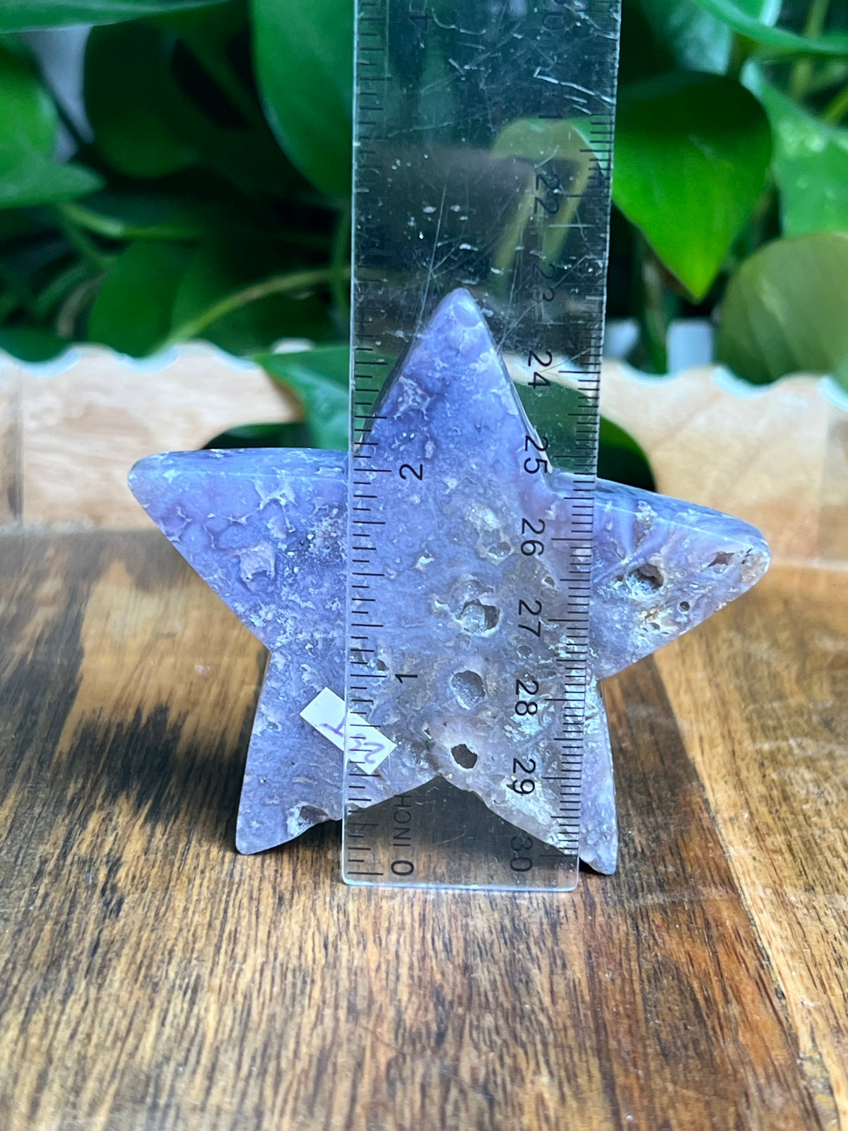 Grape Agate Star: T