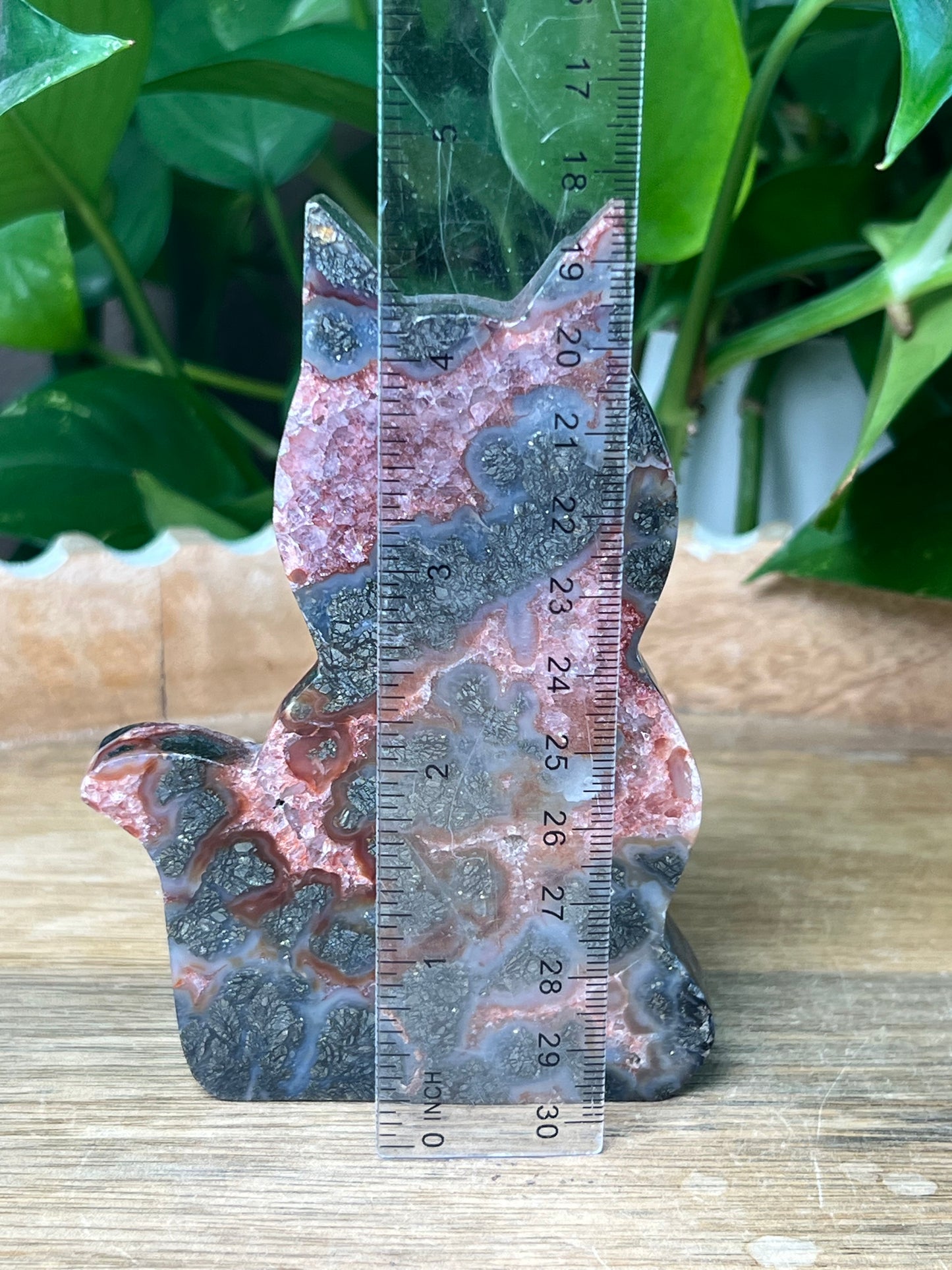 Marcasite Cat