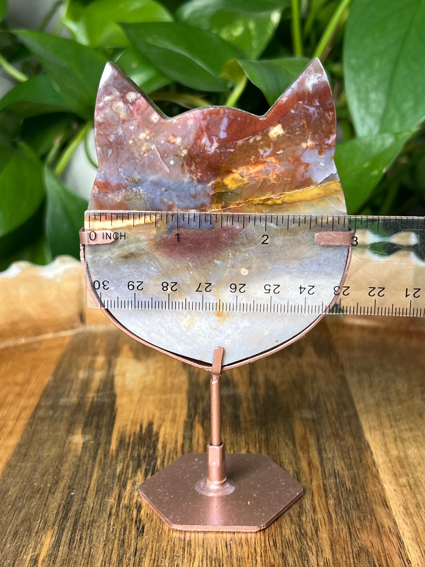 River Jasper Cat