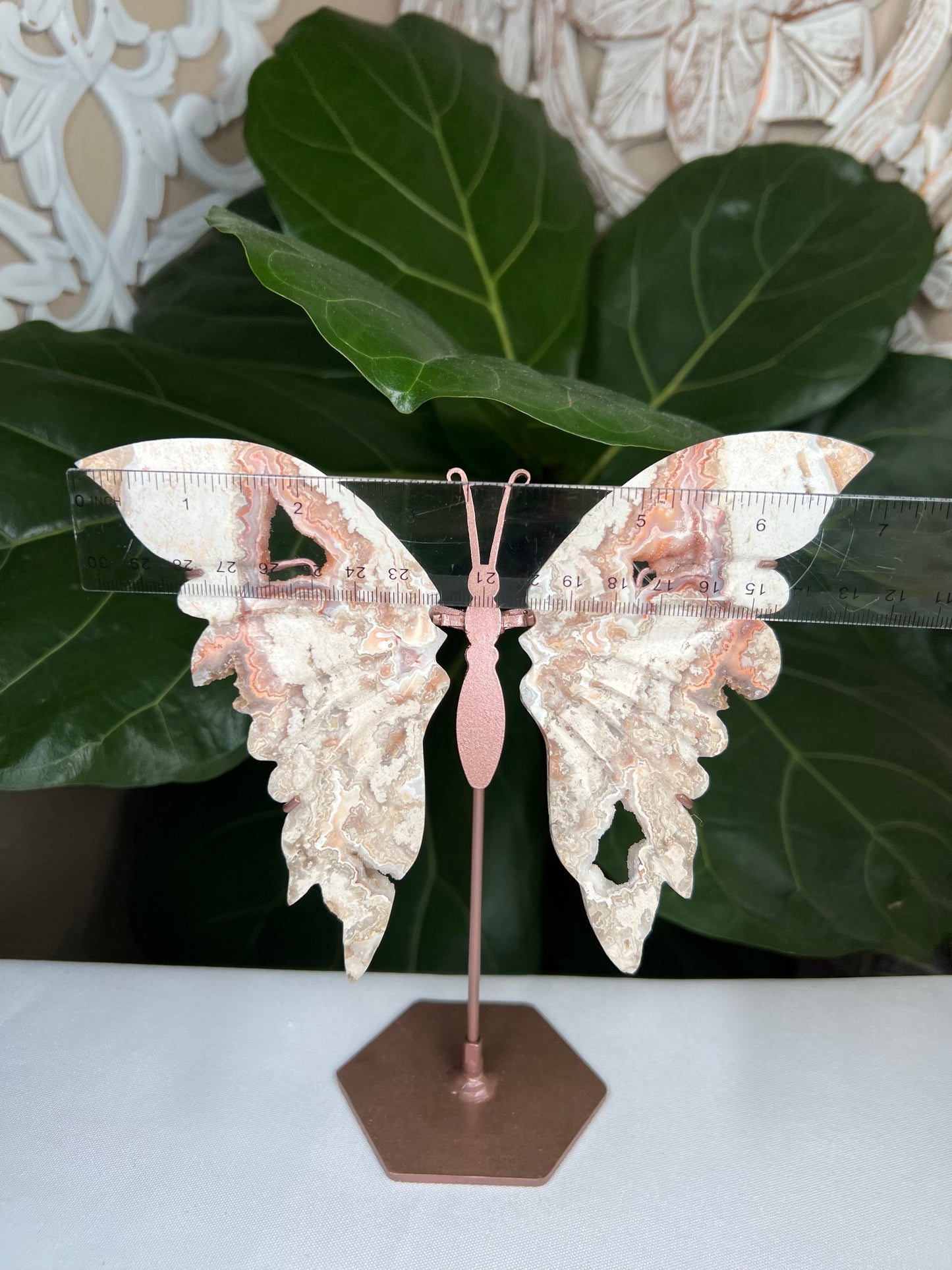 Crazy Lace Agate Wings