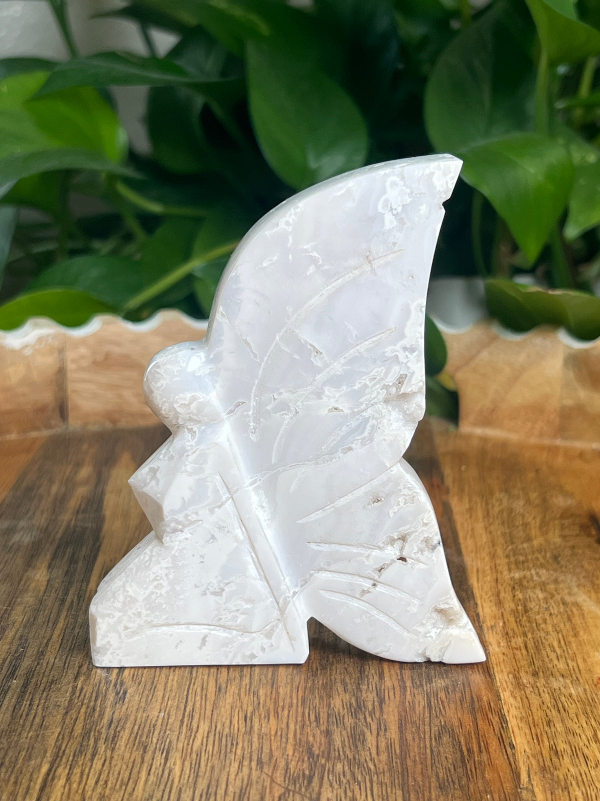 White Plume Agate Fairy: VC