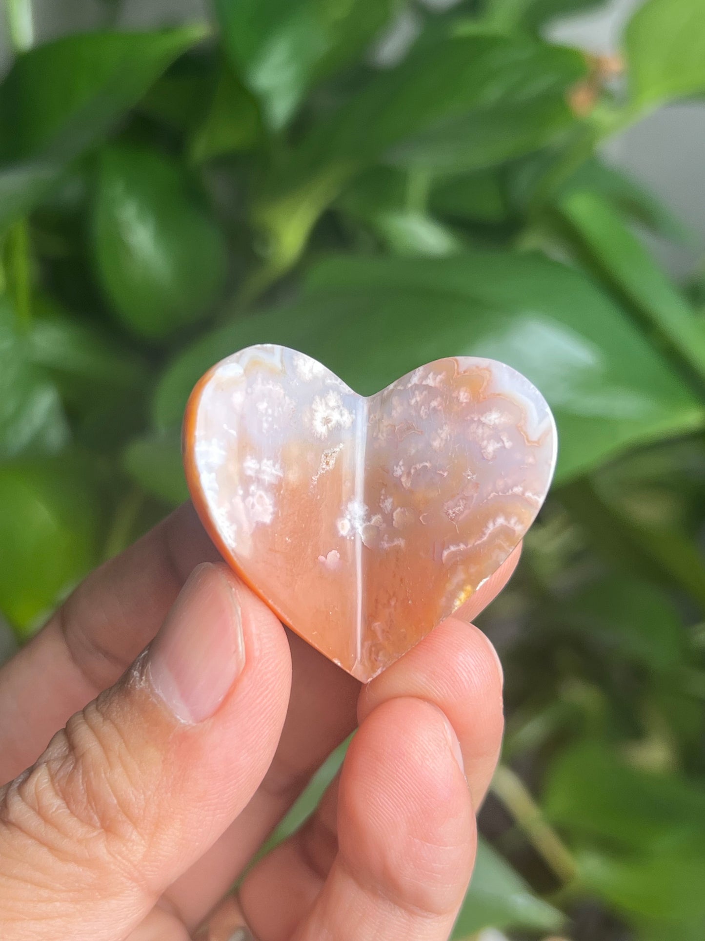 Flower Carnelian 3D Butterfly Heart: BN
