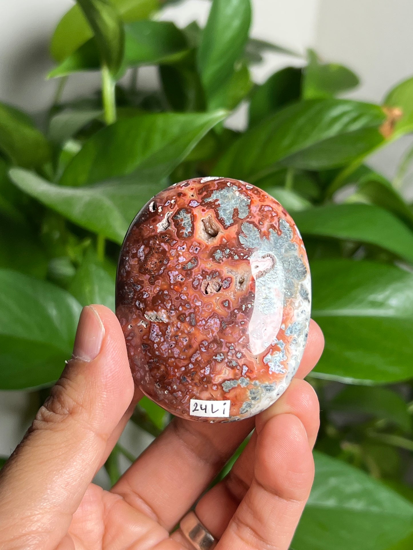 Marcasite Palmstone: Li