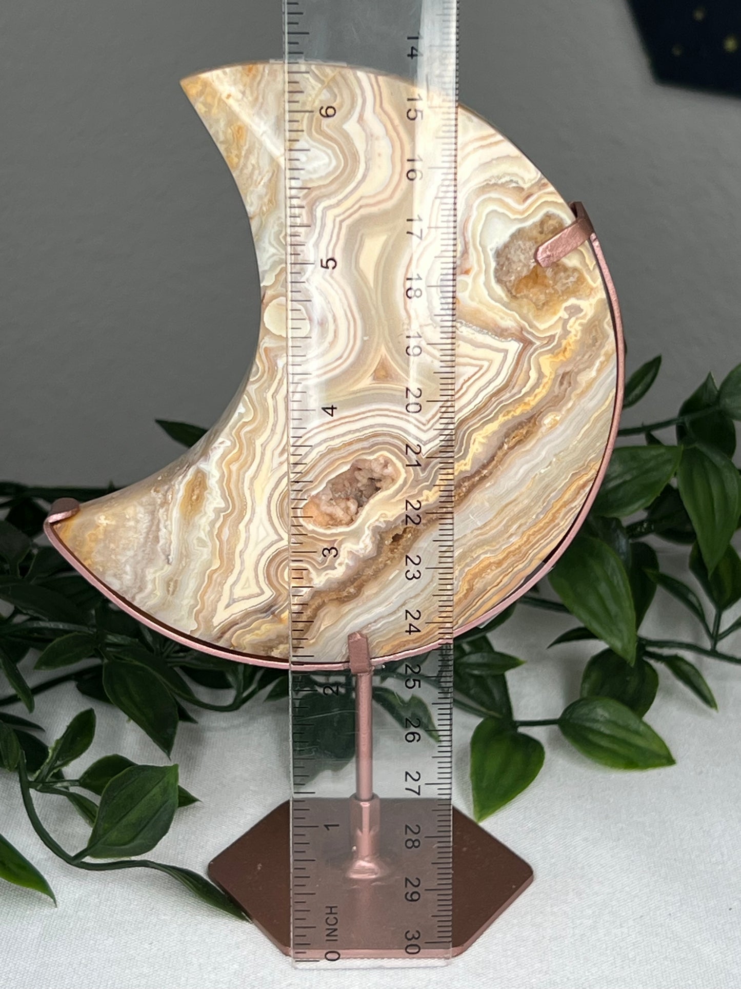 Yellow Crazy Lace Agate Moon