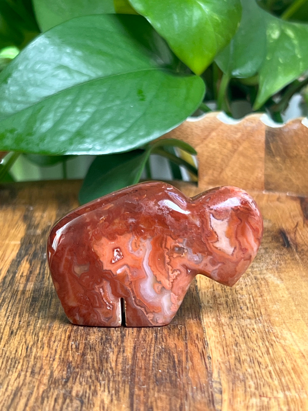 Carnelian Mini Buffalo: FK