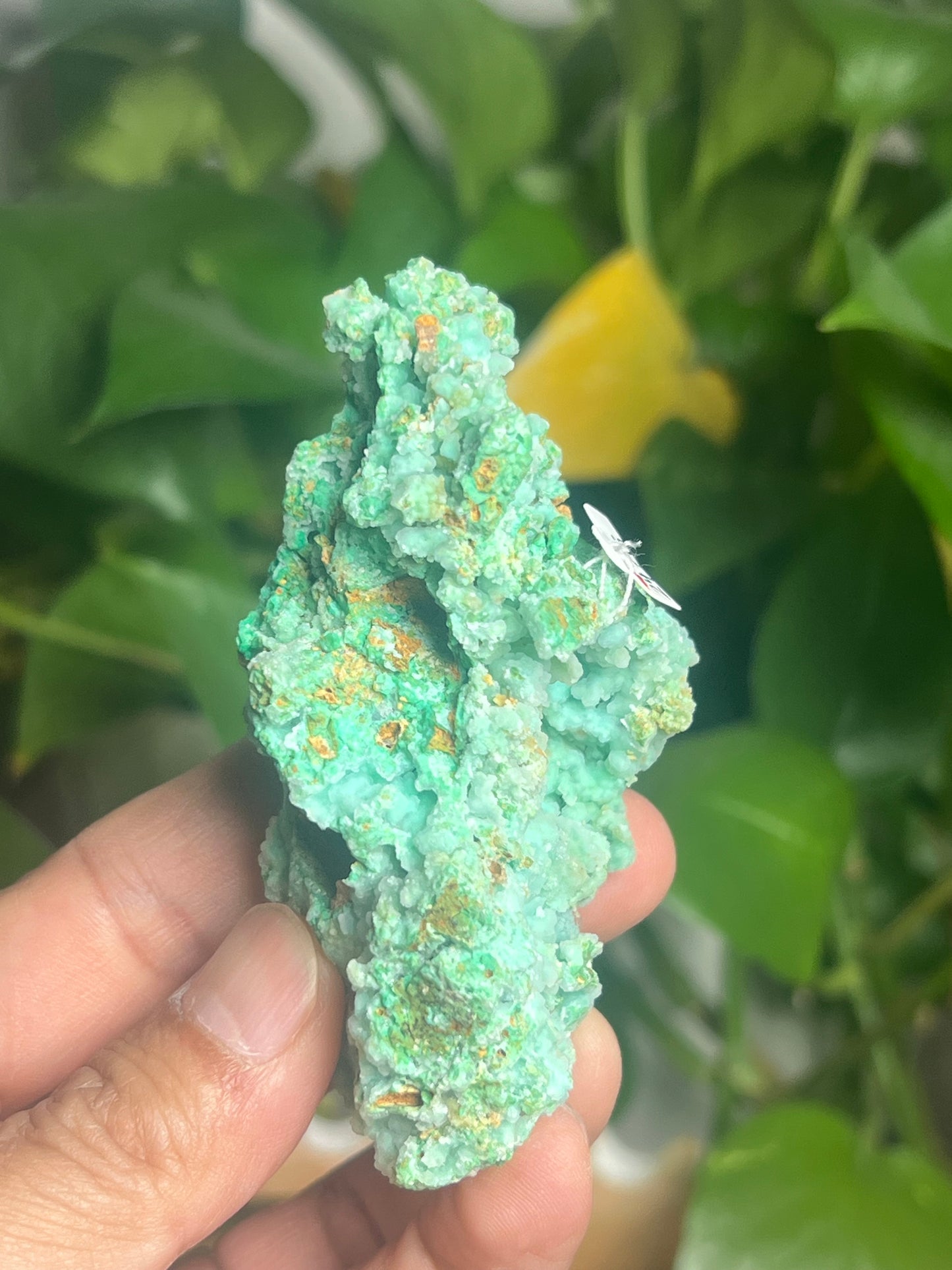 Smithsonite Specimen Ai