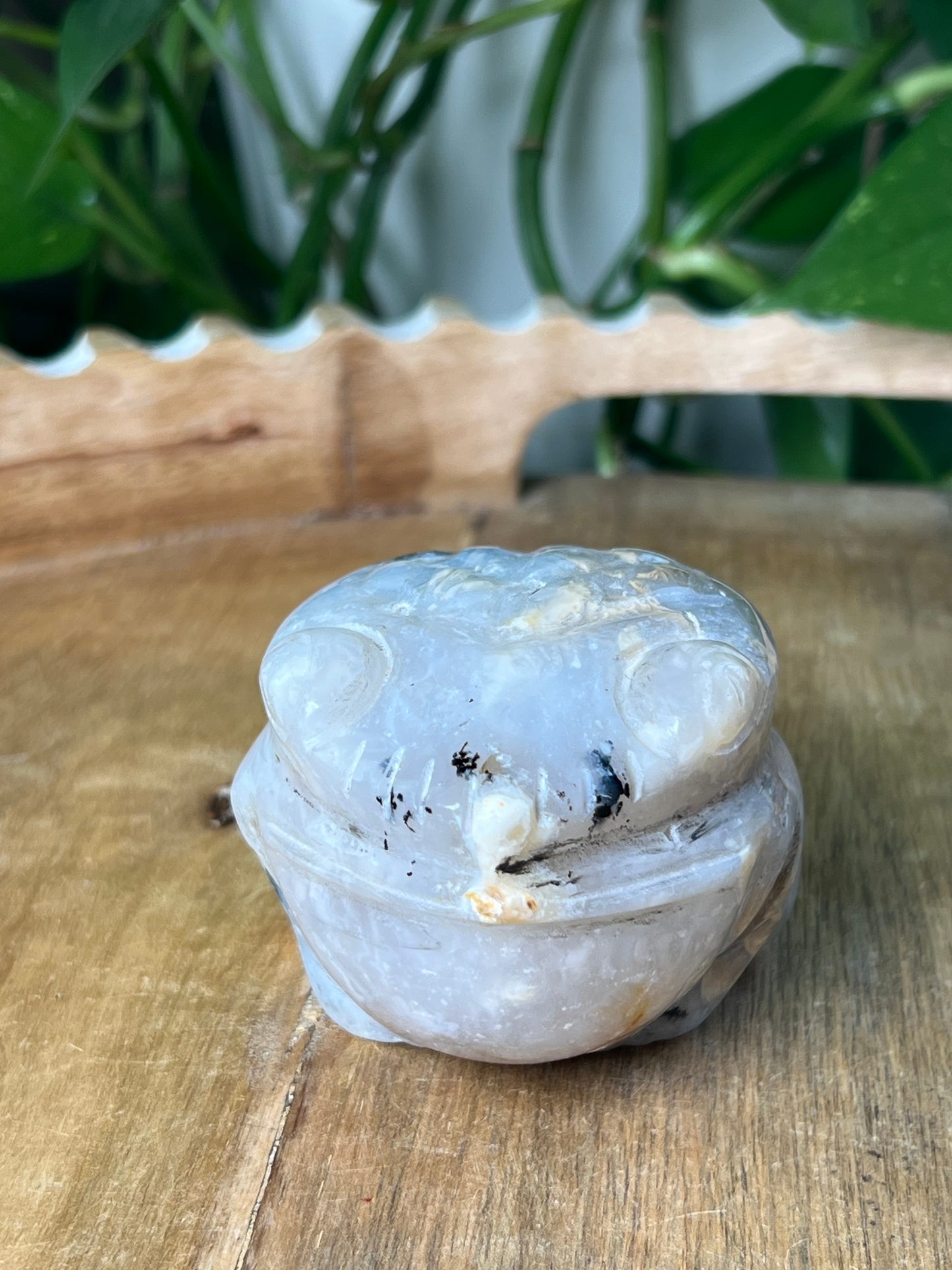Dendritic Tiger Agate Frog