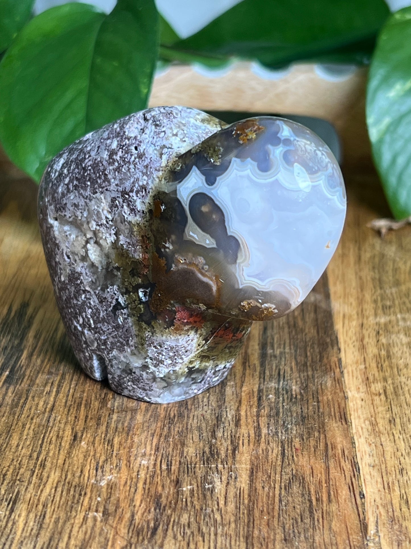 Scenic Moss Agate Buffalo ME