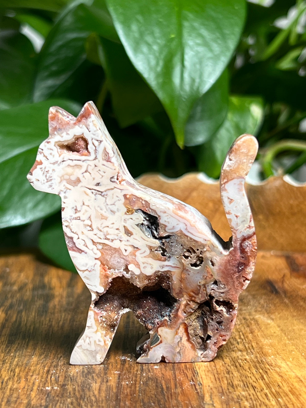 Tube Agate Cats