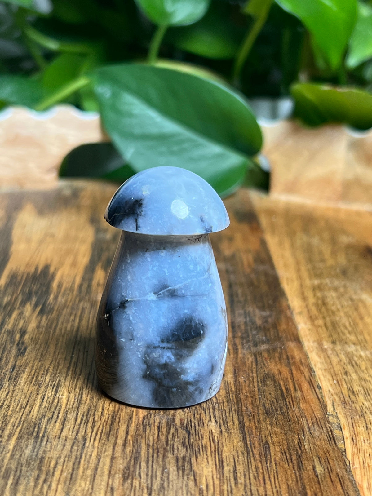 Blue Plume Agate Mushroom: TP