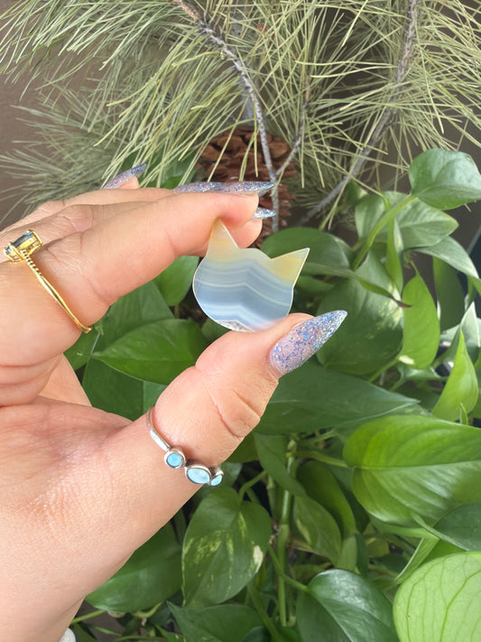 Iris Agate Cat Head Cabachon