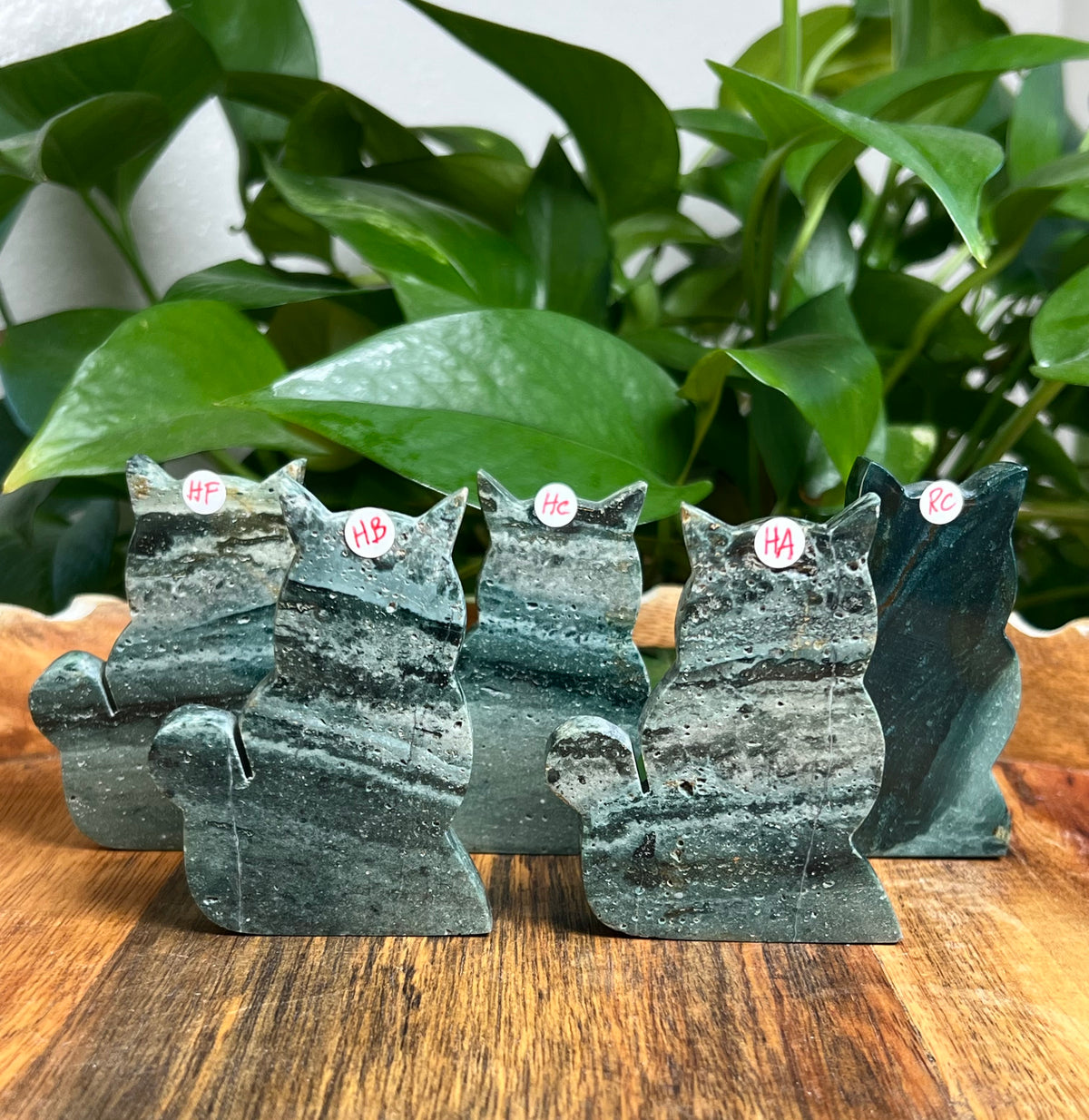 Blue Green Jasper Cats
