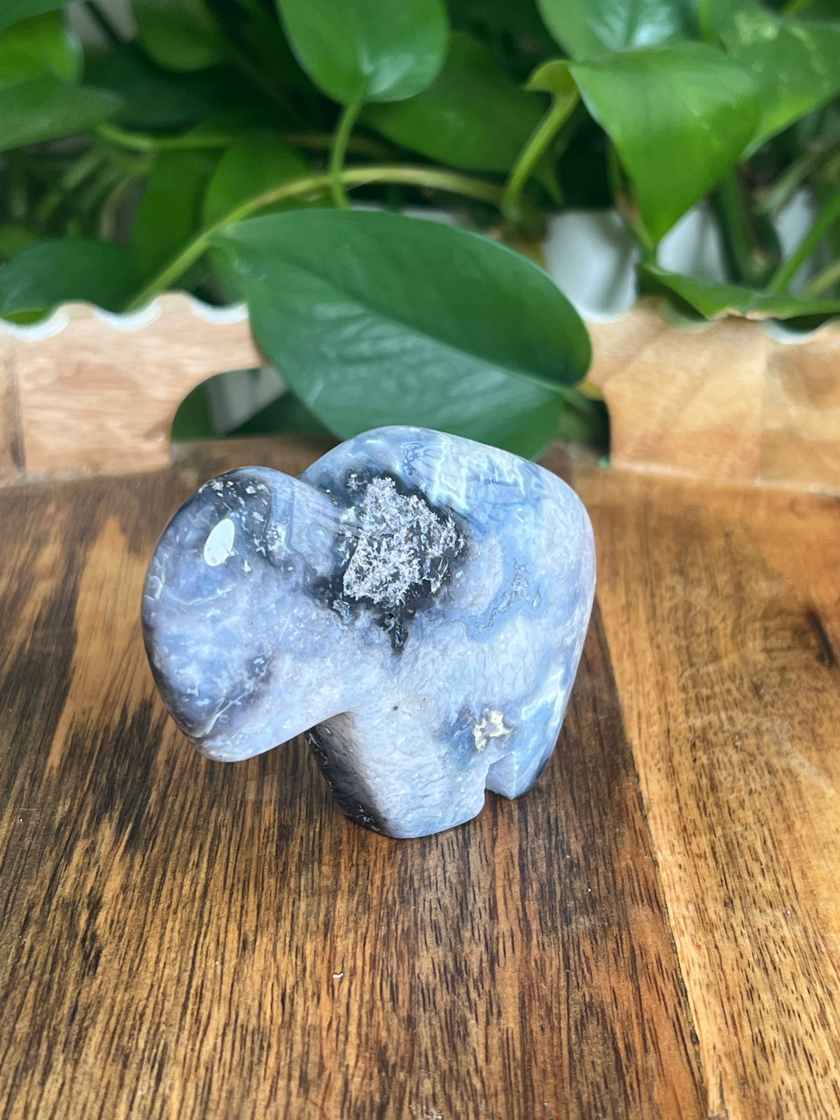 Blue Plume Agate Buffalo: BA