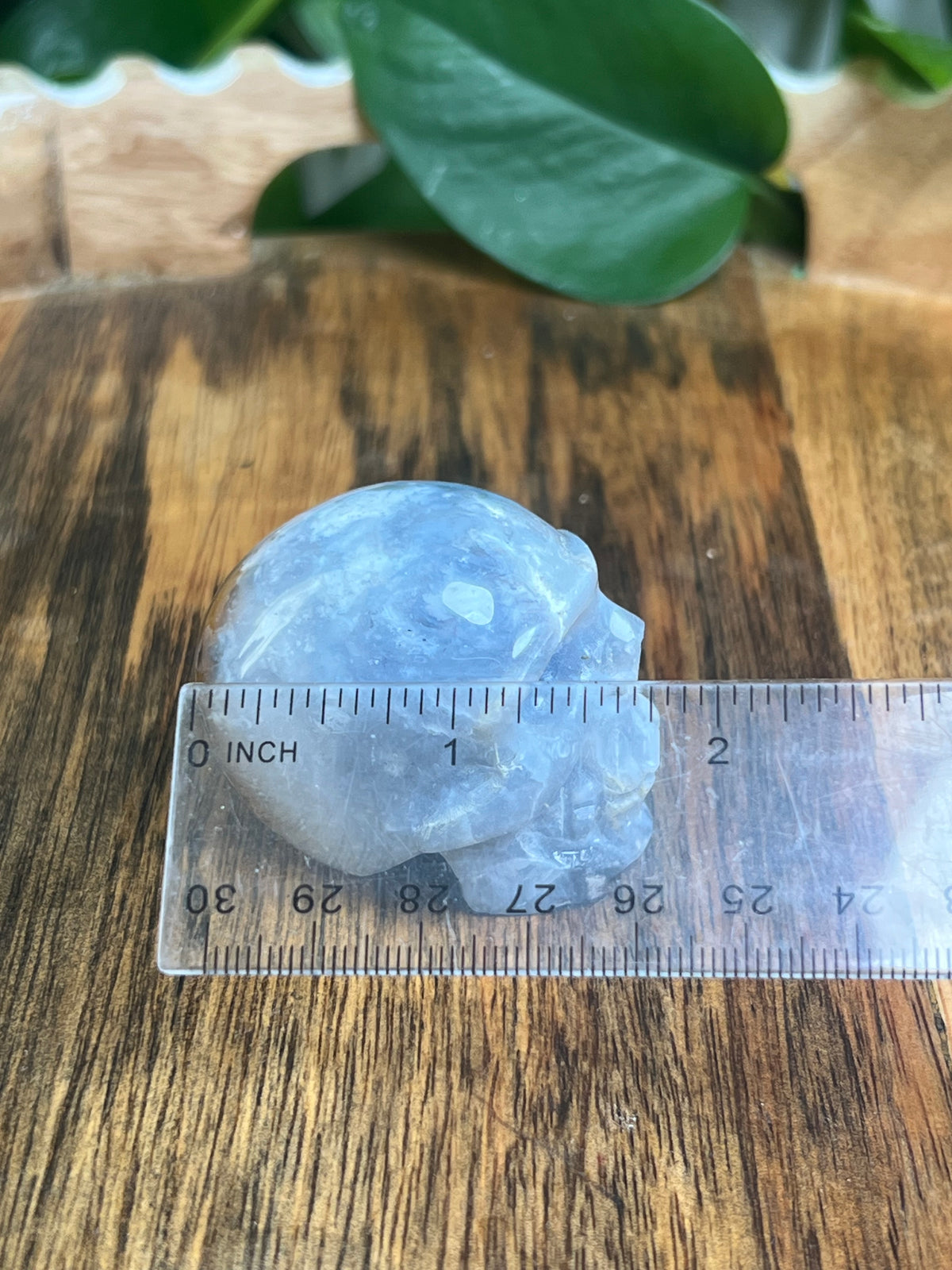 Blue Plume Agate Skull: E