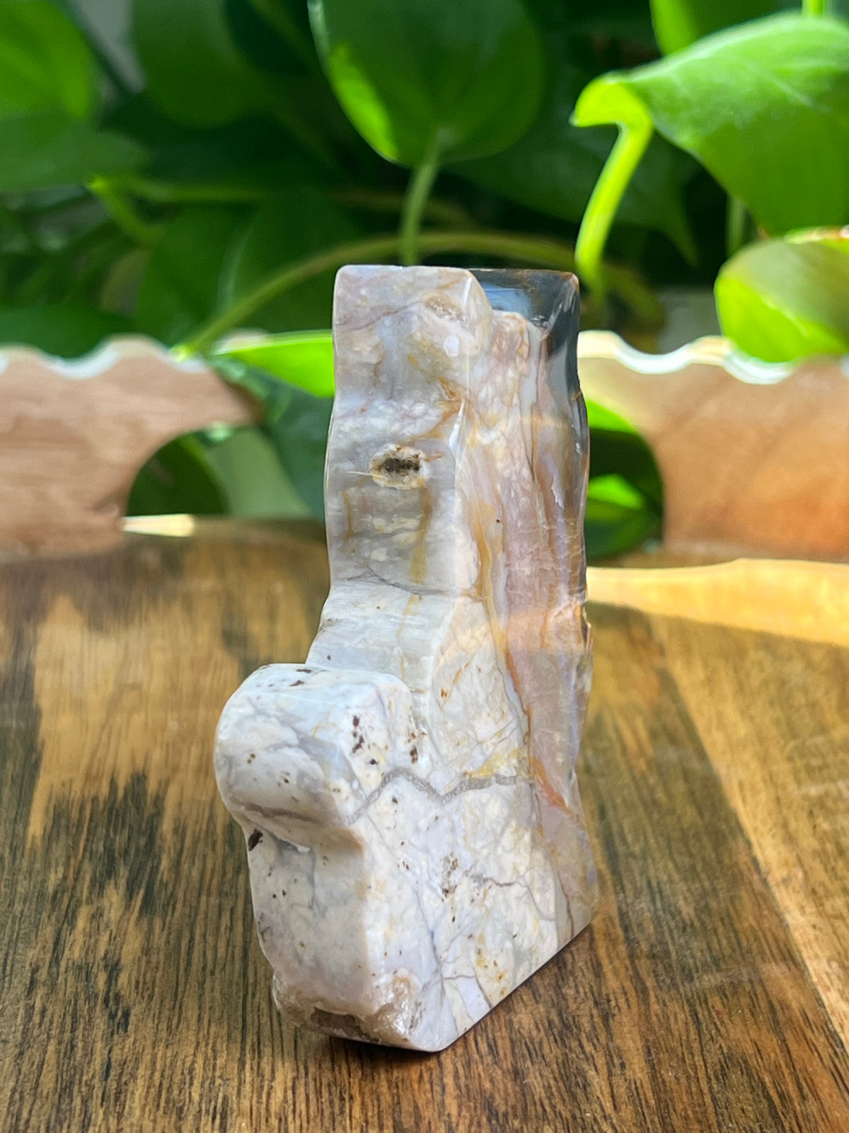 River Jasper Cat: PF