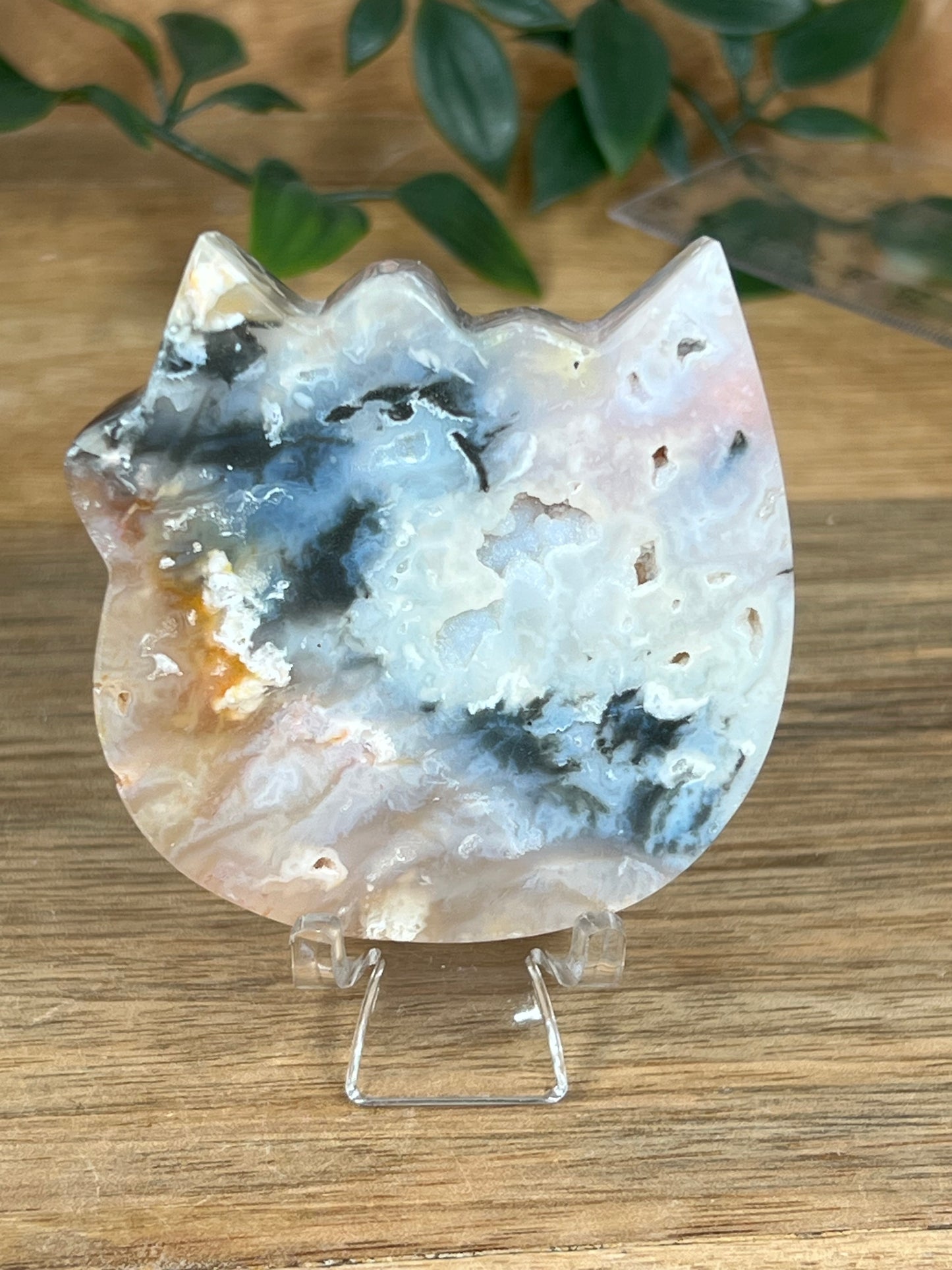 Rainbow Plume Agate Cat Head