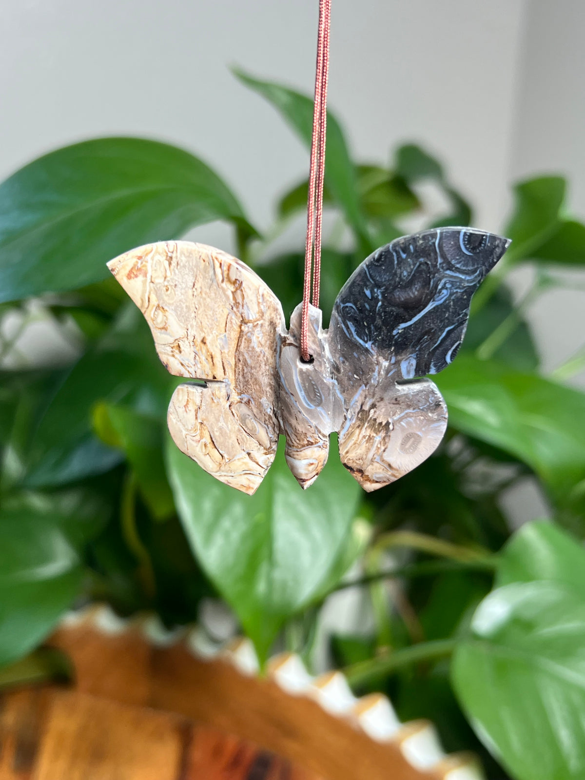 Palm Root Ornament Butterfly: PT