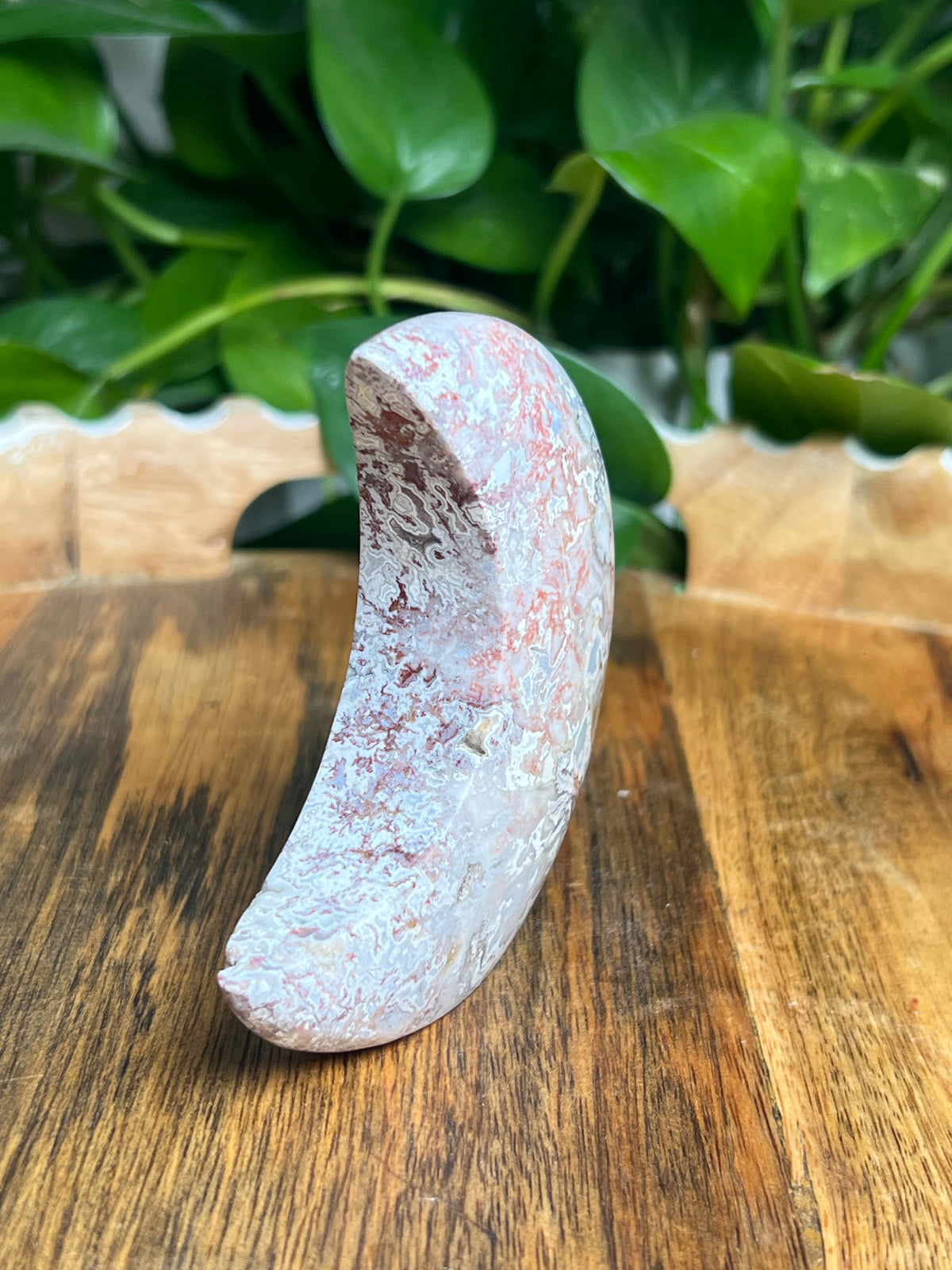 Sumatra Plume Agate Self-Standing Moon: SA