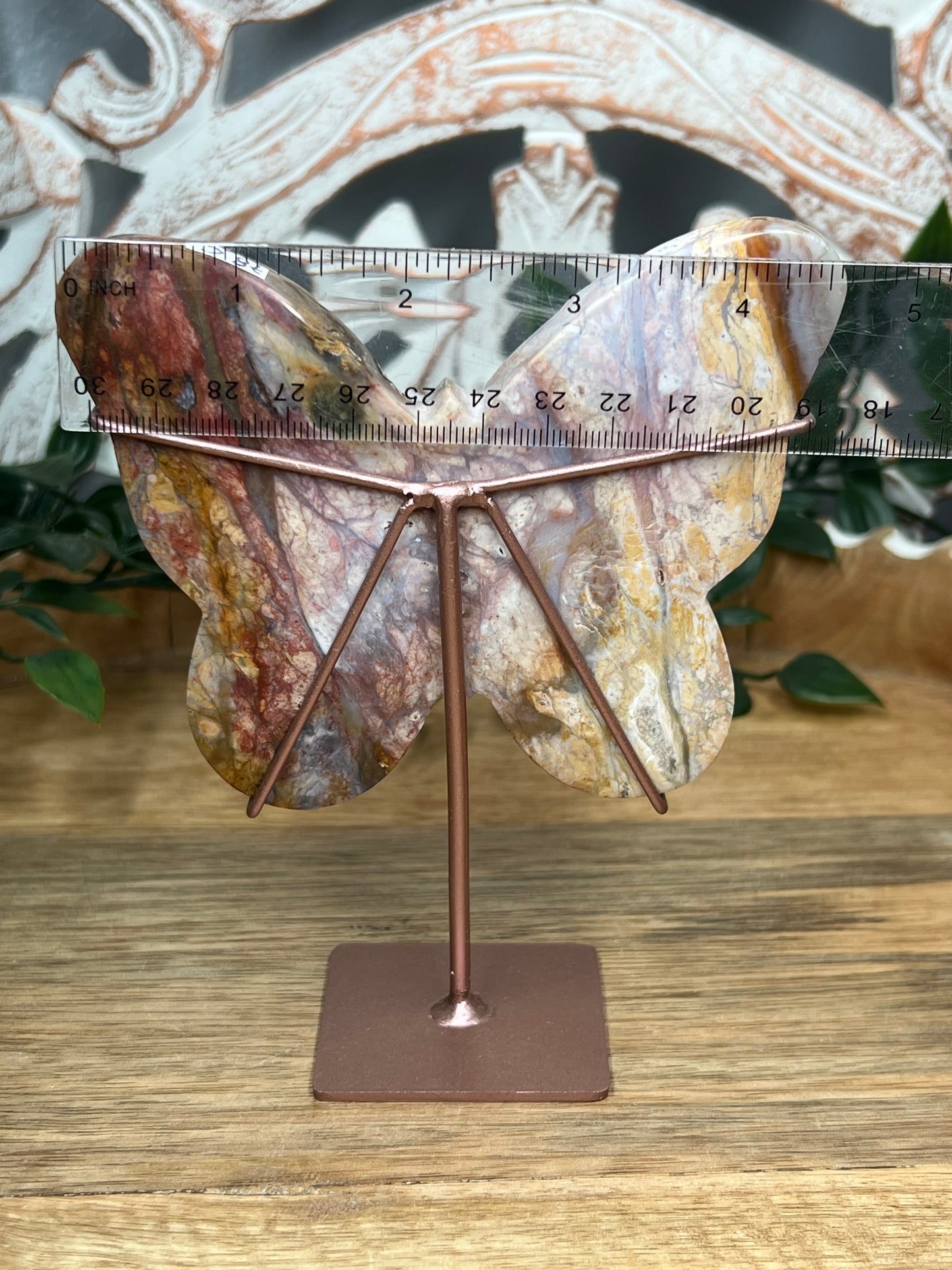 River Jasper Butterfly