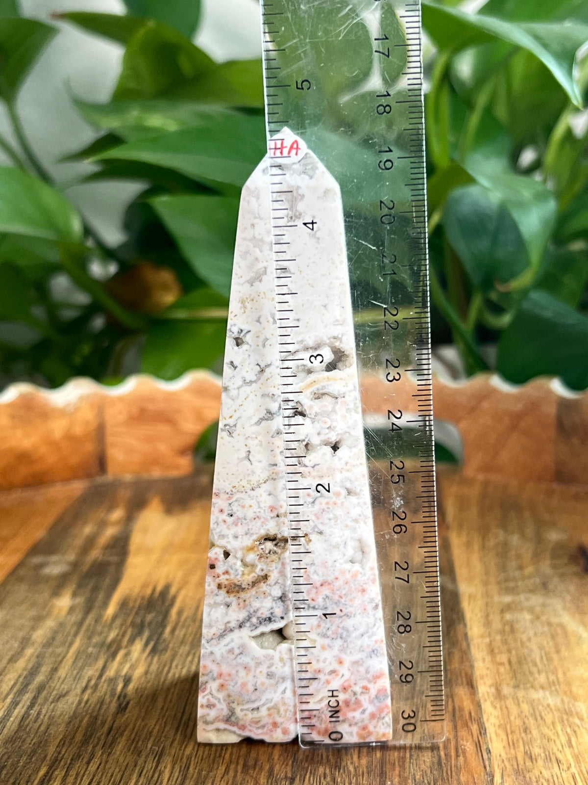 Sea Jasper Tower:HA