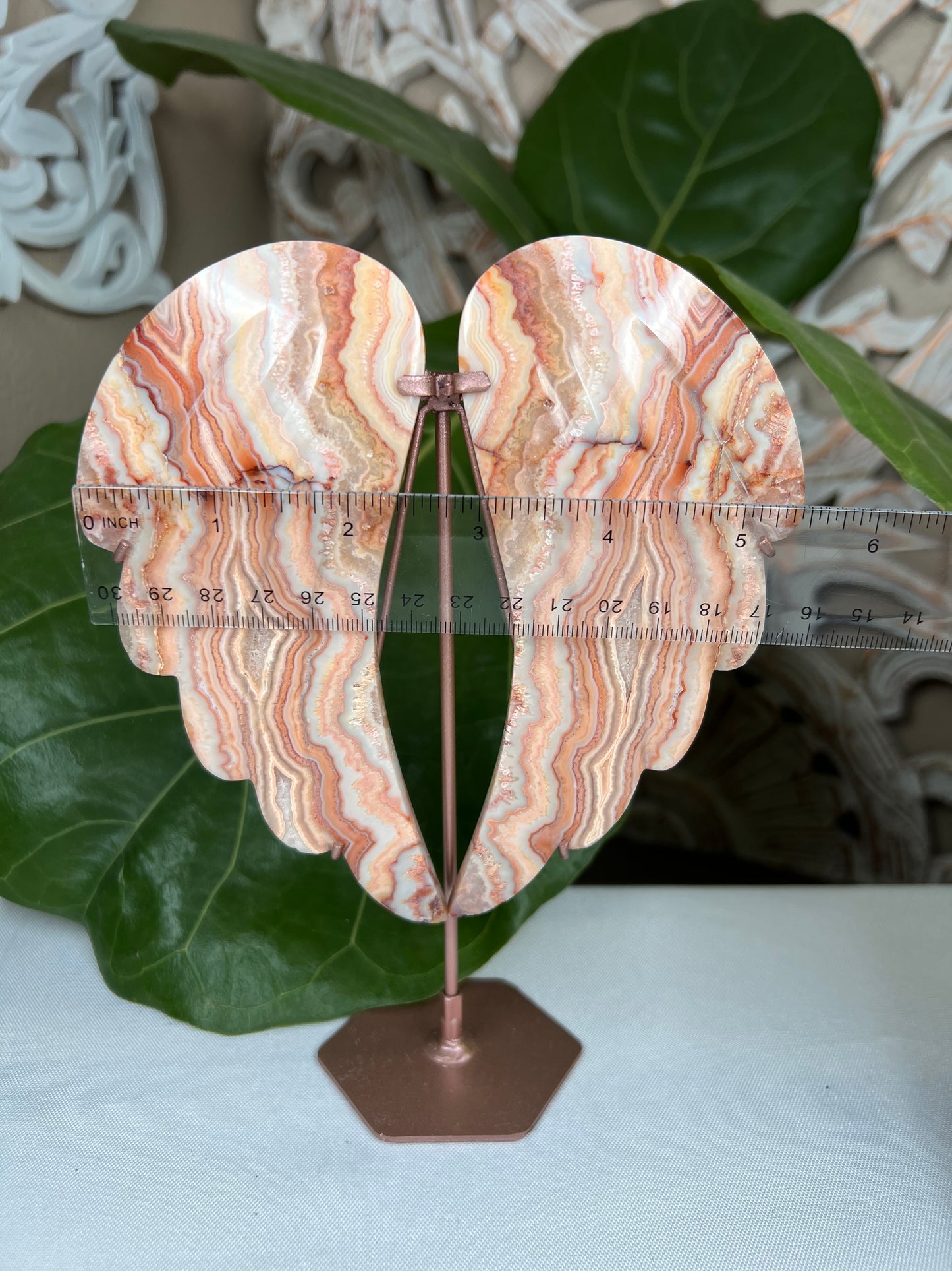 Crazy Lace Agate Wings