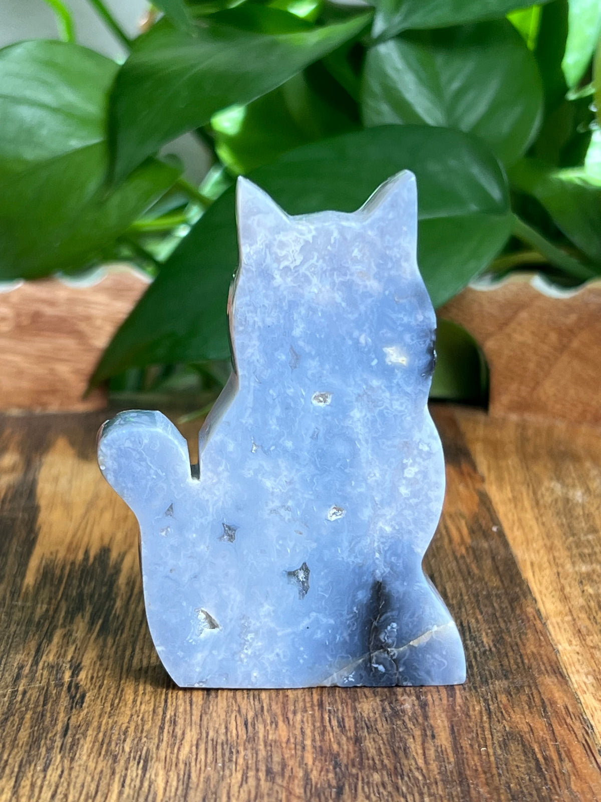 Blue Plume Agate Cat: BC