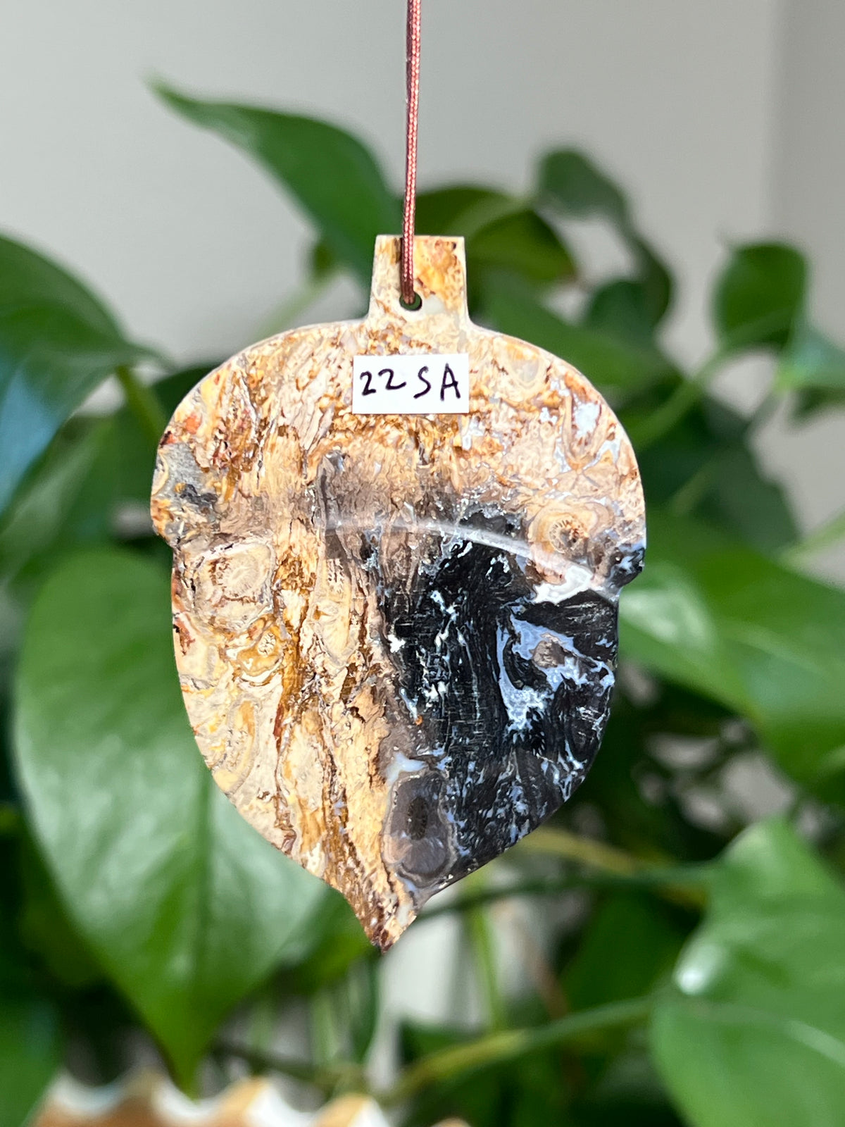 Palm Root Acorn Ornaments