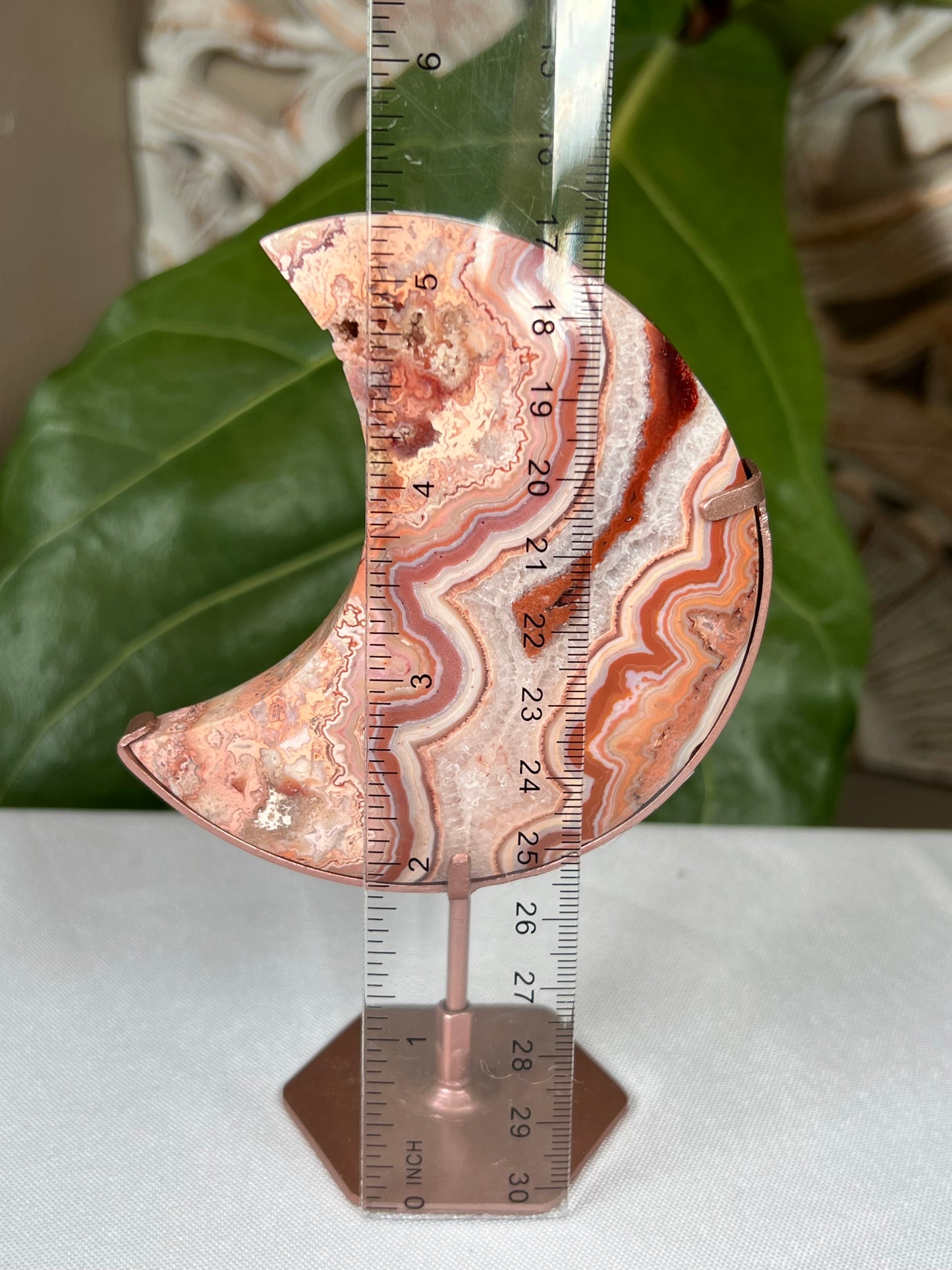 Crazy Lace Agate Moon