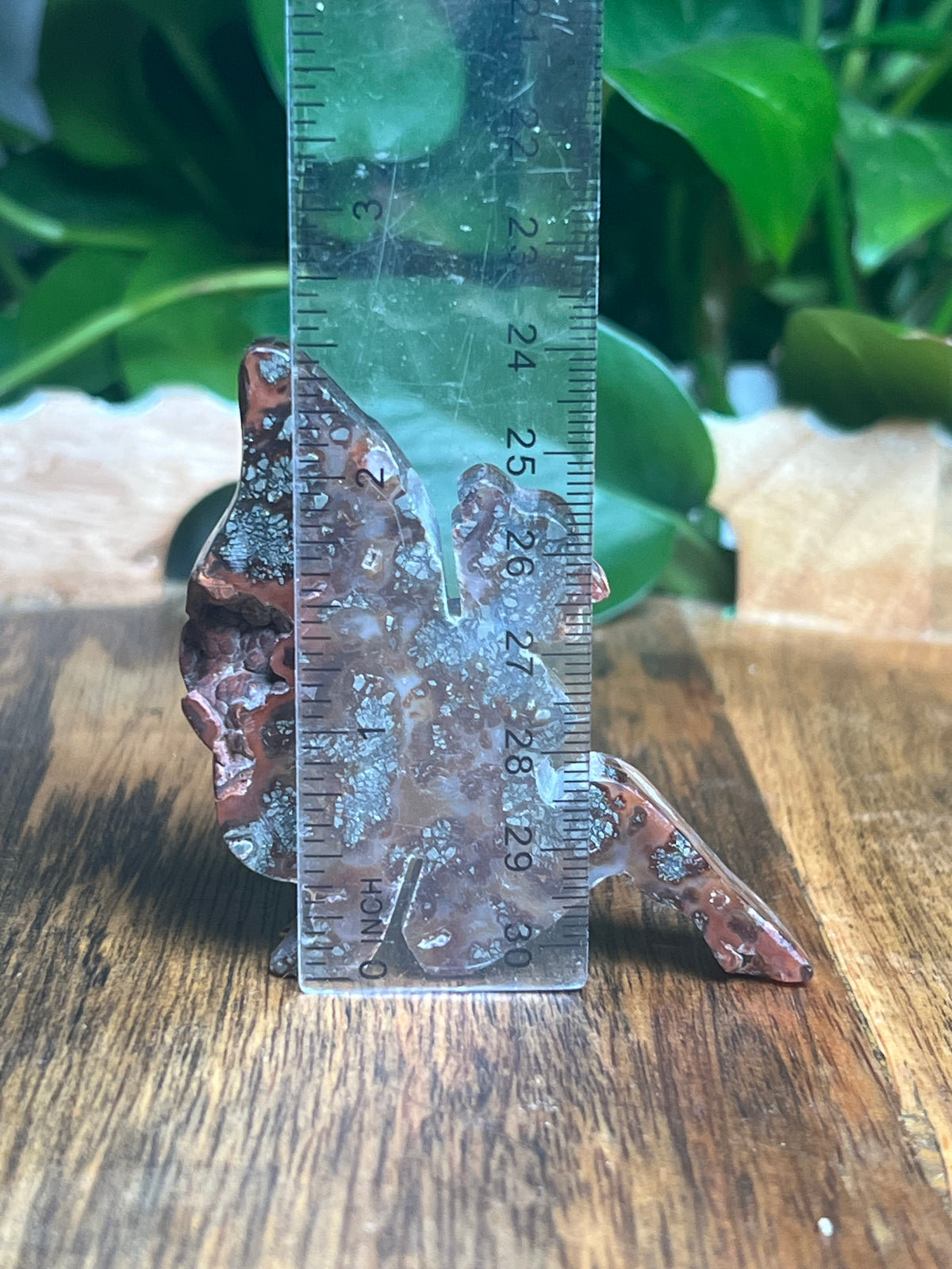 Marcasite Fairy: MD
