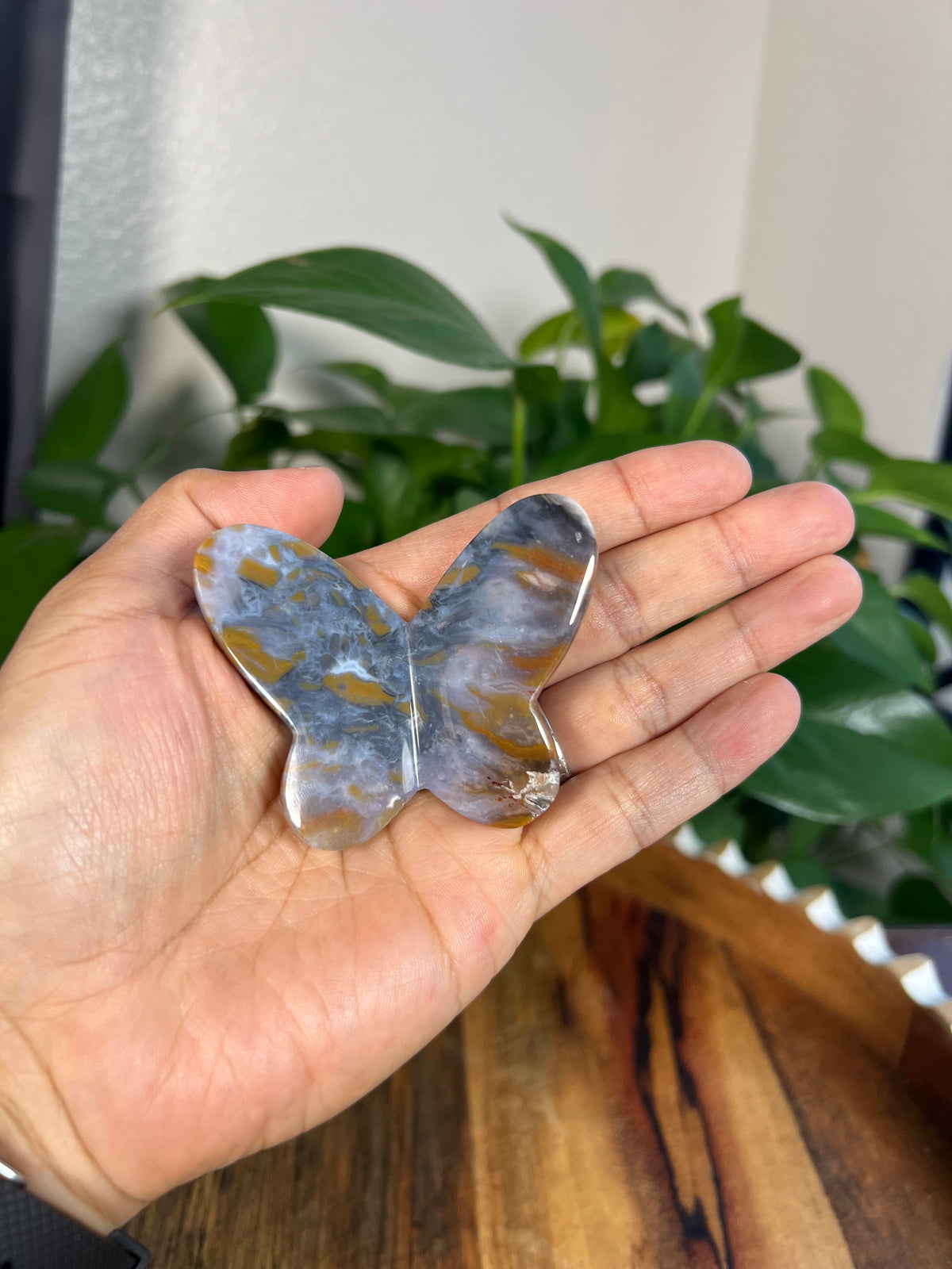 Milky River Jasper 3D Butterflies