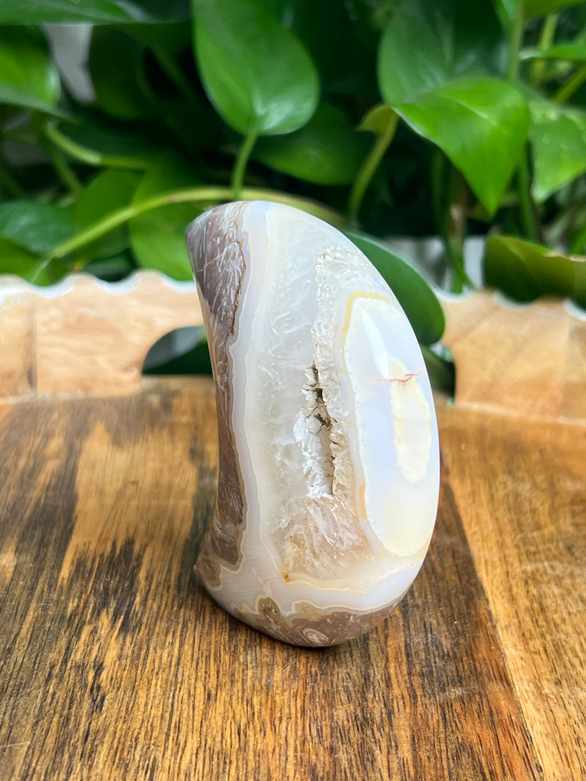 Sumatra Plume Agate Self-Standing Moon: NA