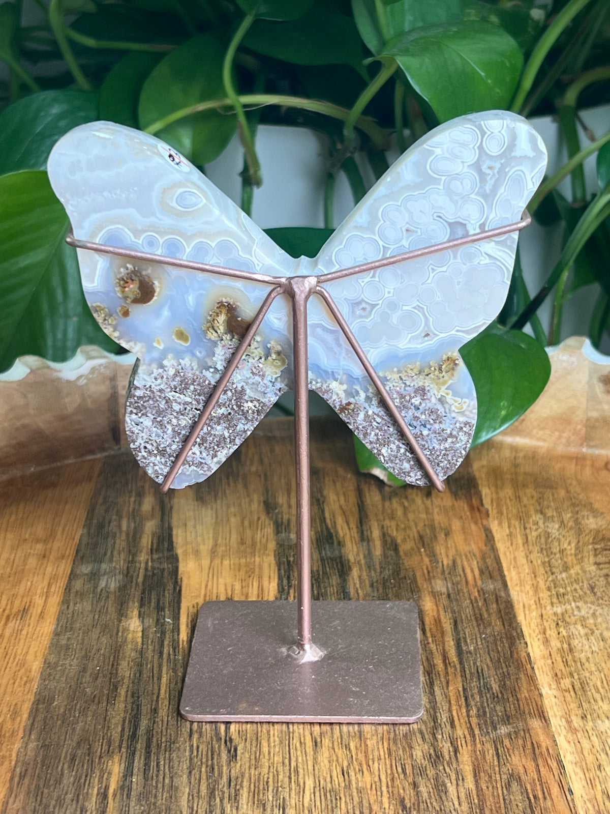 Scenic Moss Agate Butterfly: W