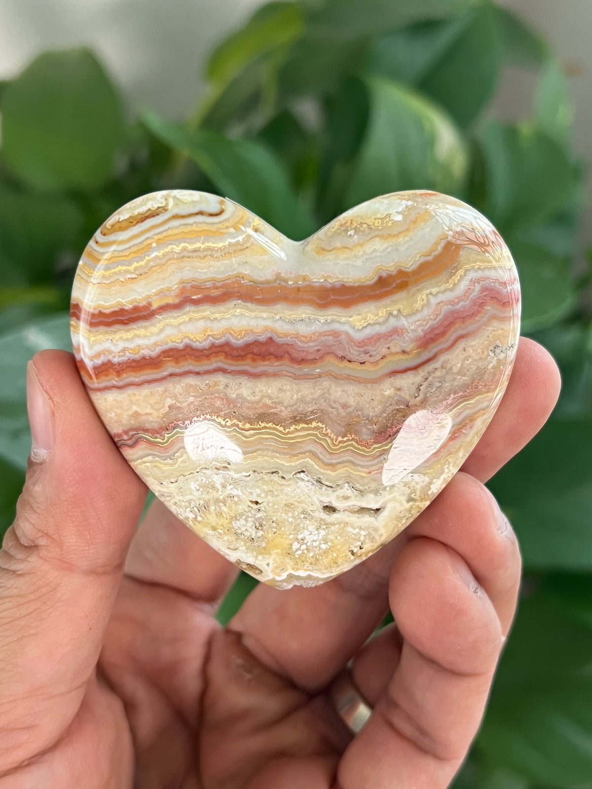 Crazy Lace Agate Small Puffy Moons