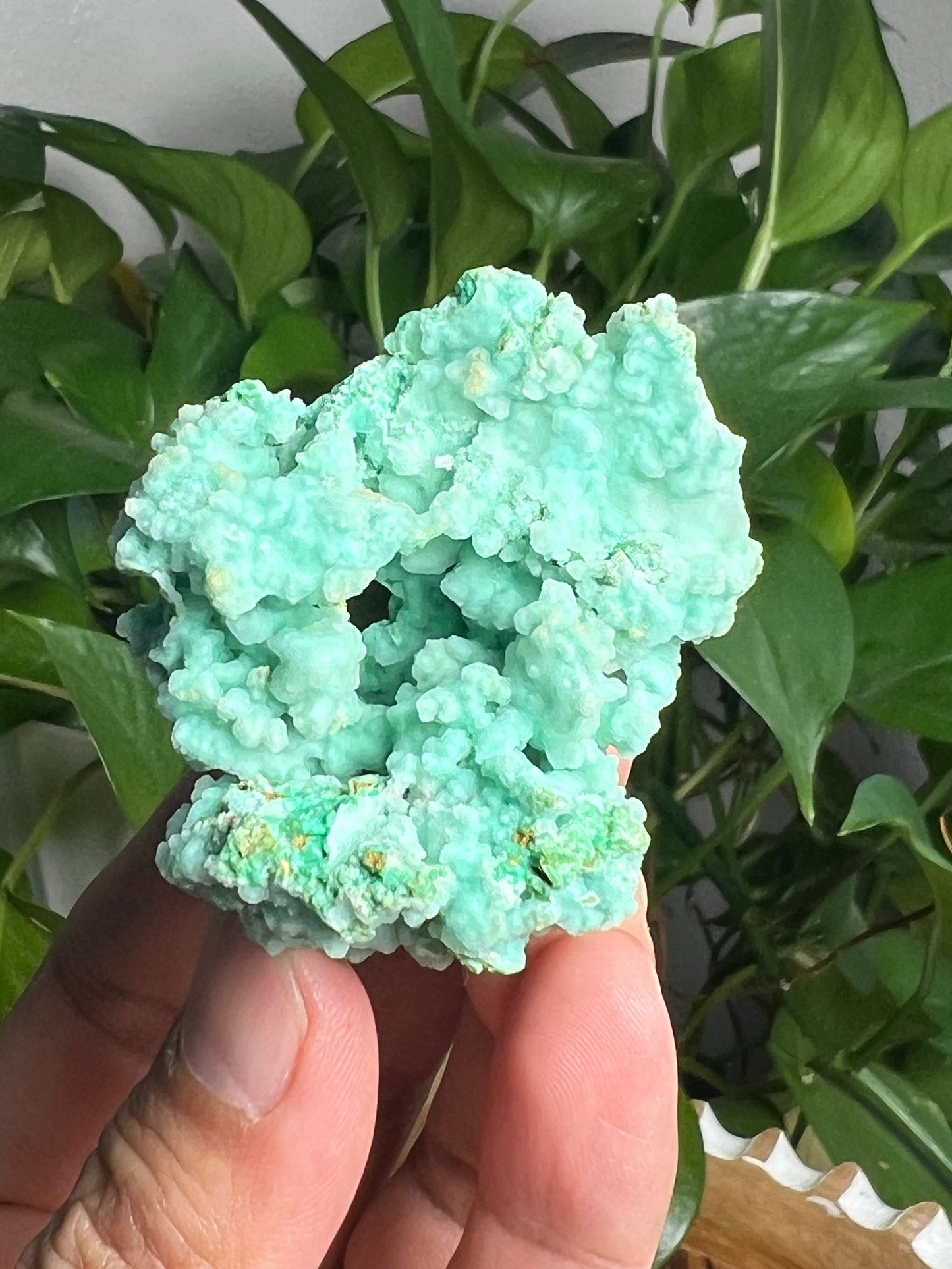 Smithsonite Specimen KB