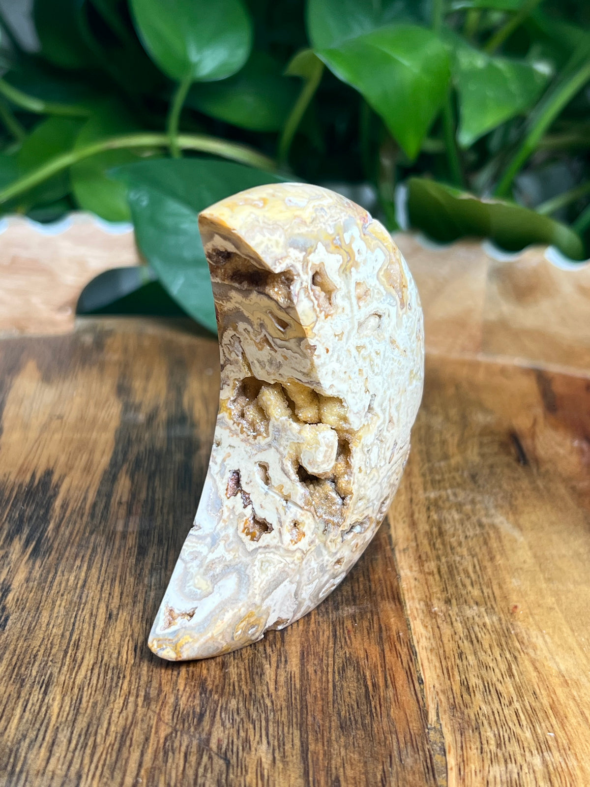 Crazy Lace Agate Self Standing Moon: CE