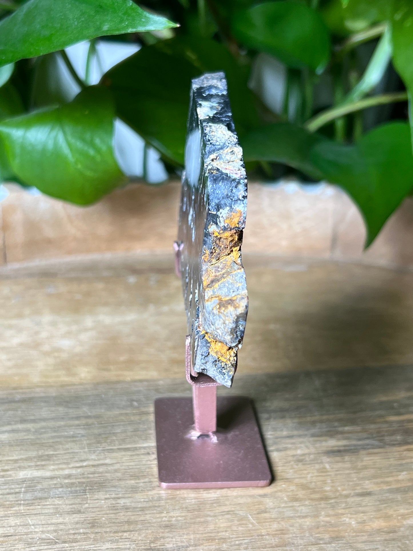 Blue Plume Agate Slab
