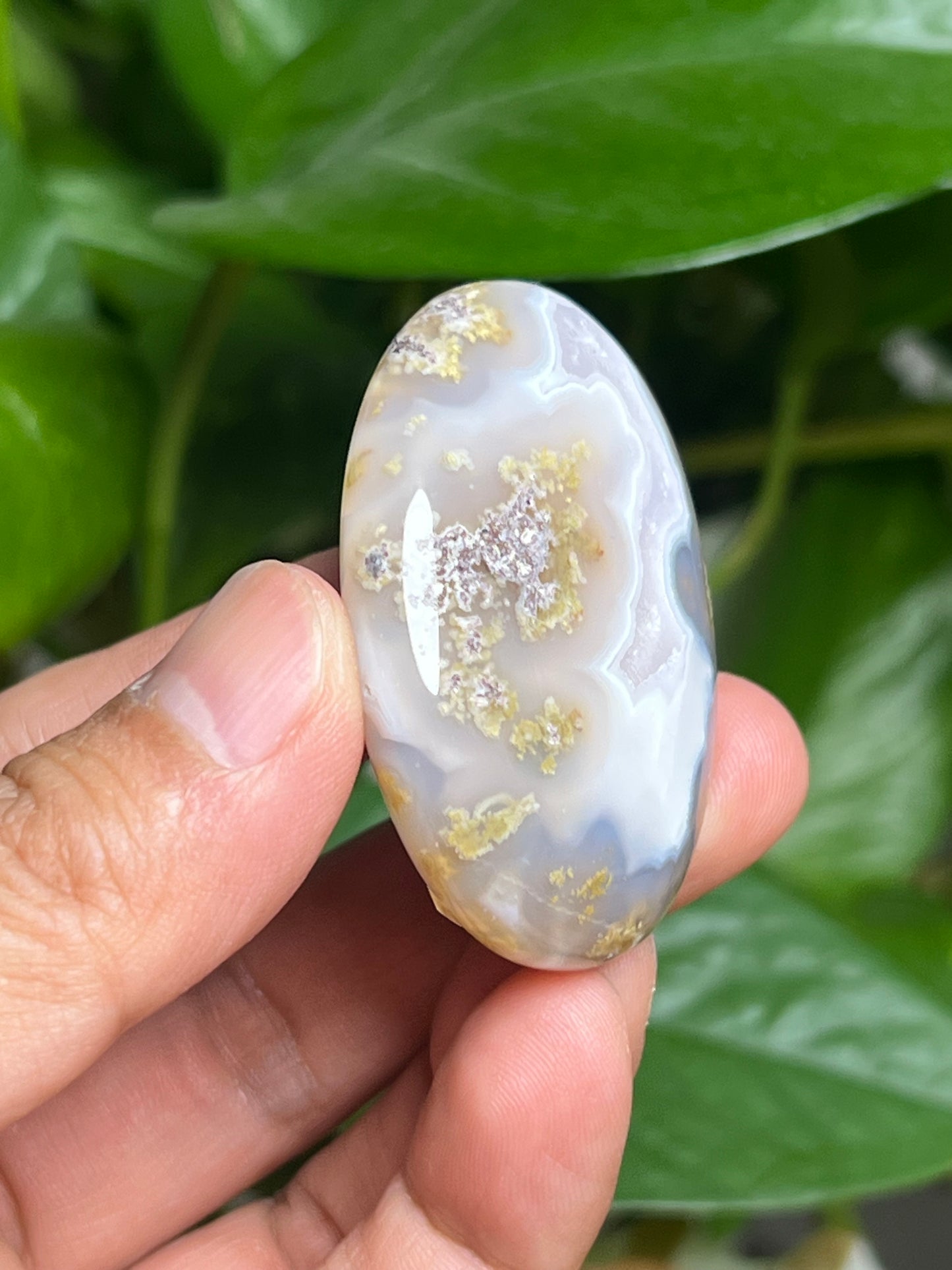 Scenic Moss Agate Palmstone: BA