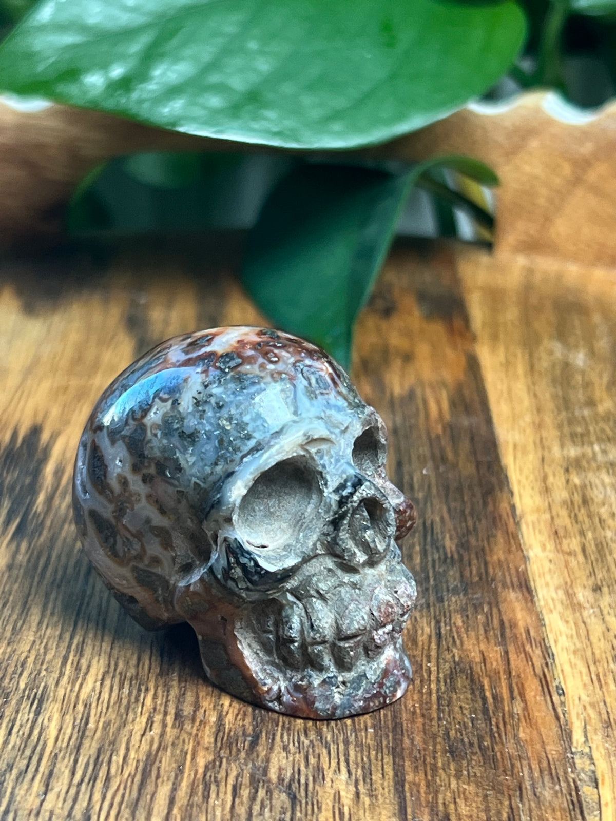 Marcasite Mini Skull: AC