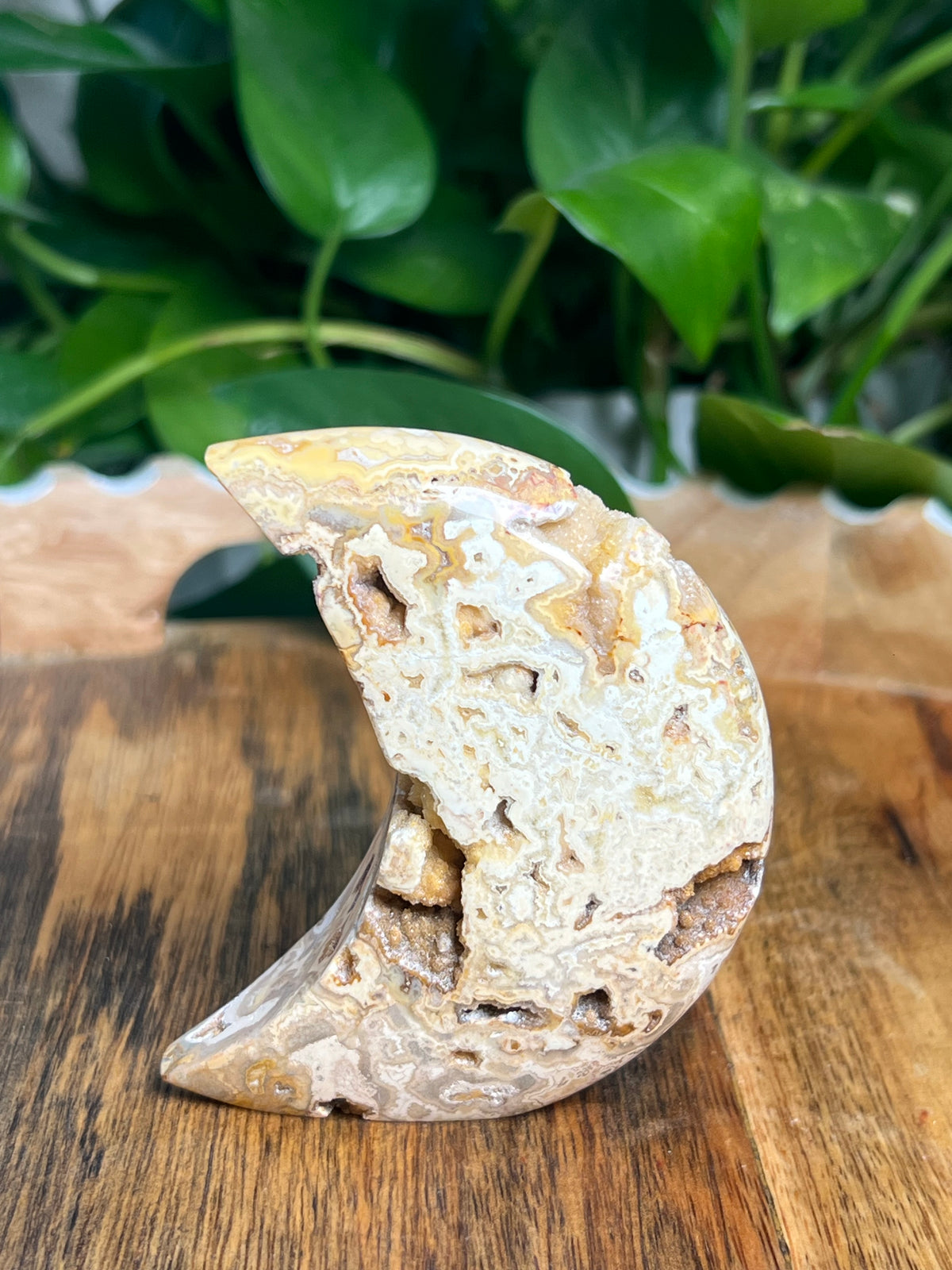 Crazy Lace Agate Self Standing Moon: CE