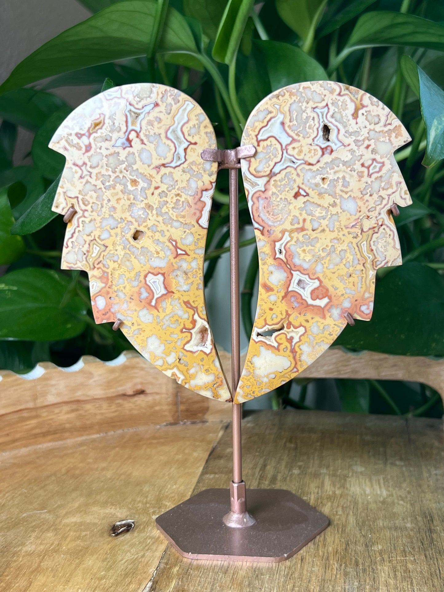 Crazy Lace Agate Wings
