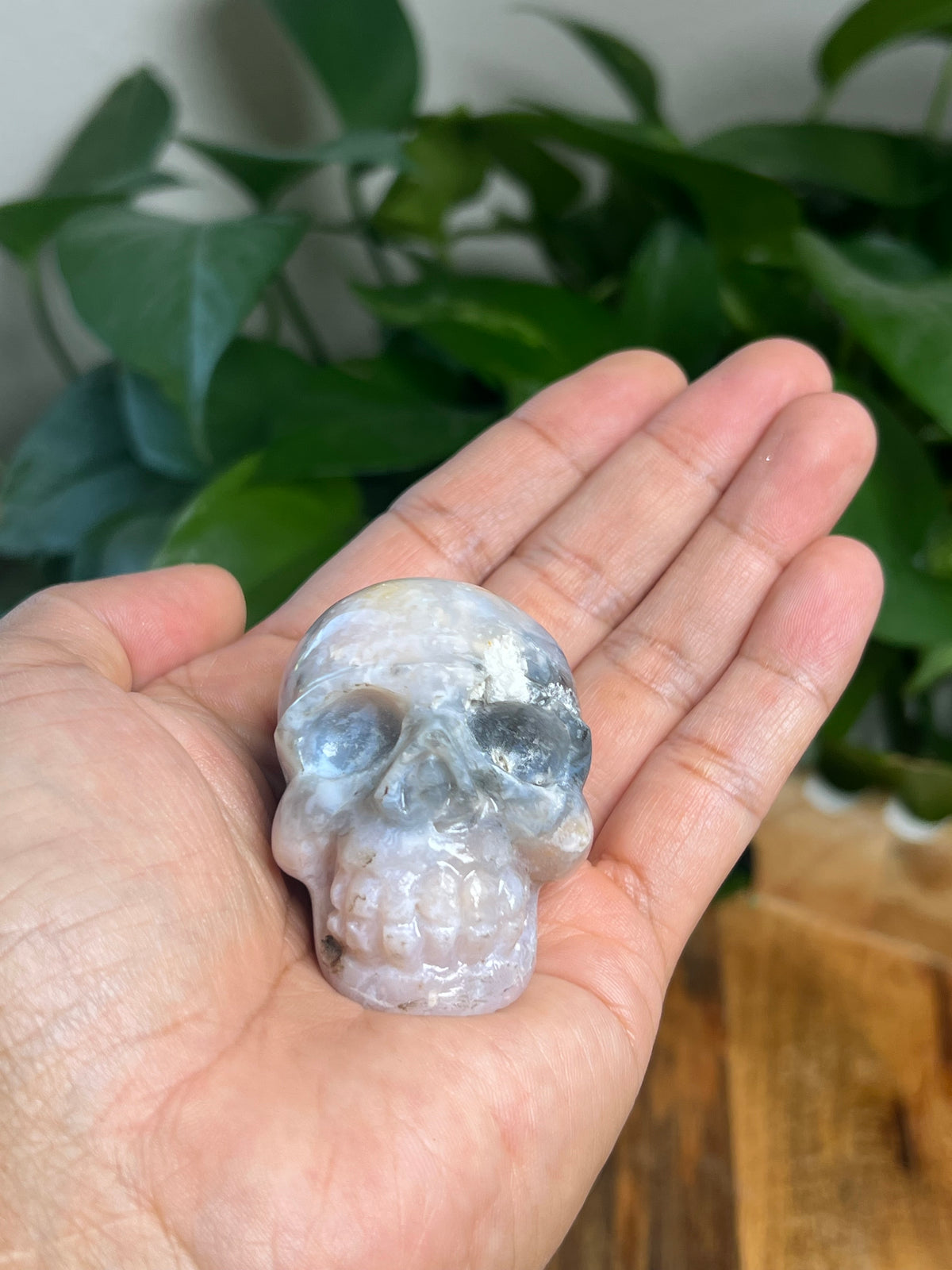 Rainbow Plume Agate Mini Skull: DL