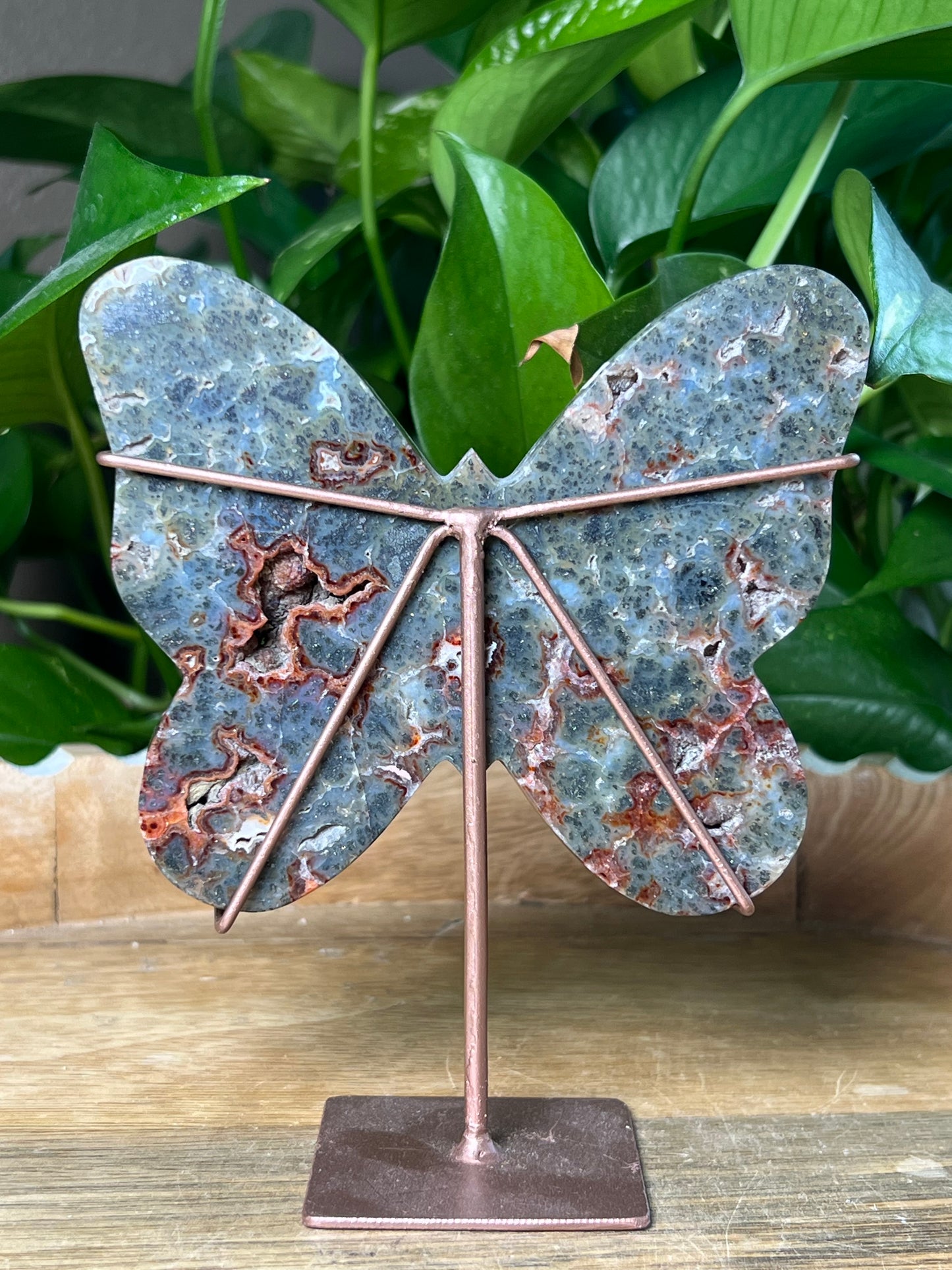 Marcasite Butterfly